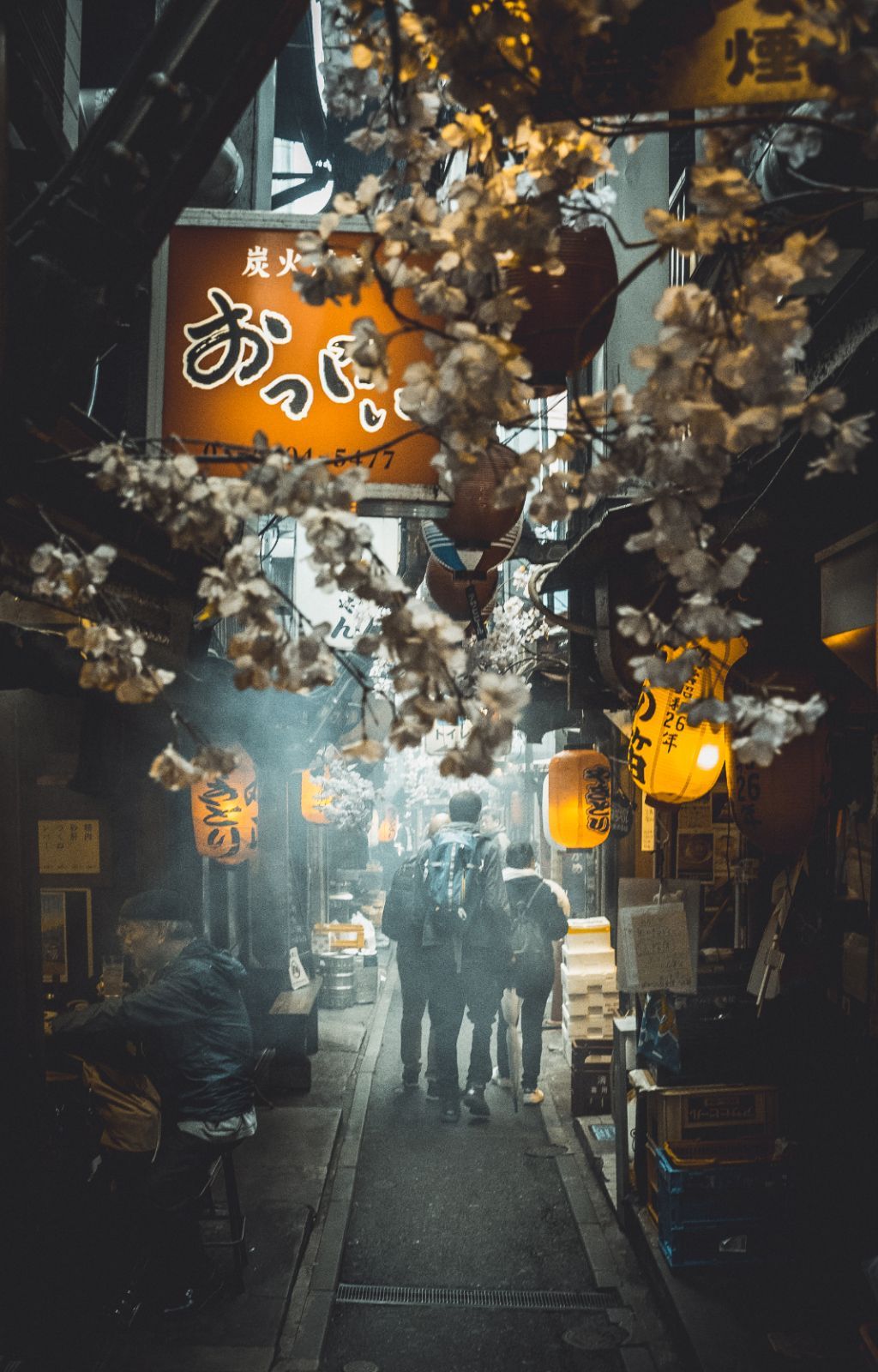 Strolling down Memory Lane, Shinjuku &copy; Mike Kniec | Flickr
