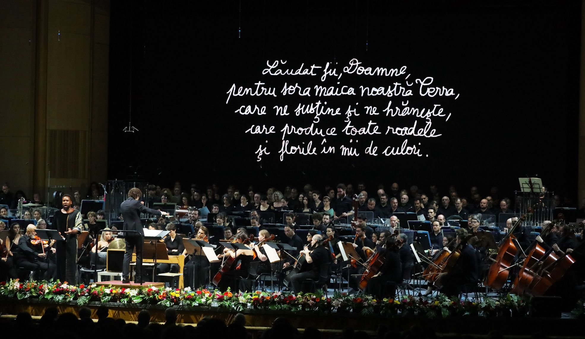 <i>Saint François d'Assise</i> © Cătălina Filip