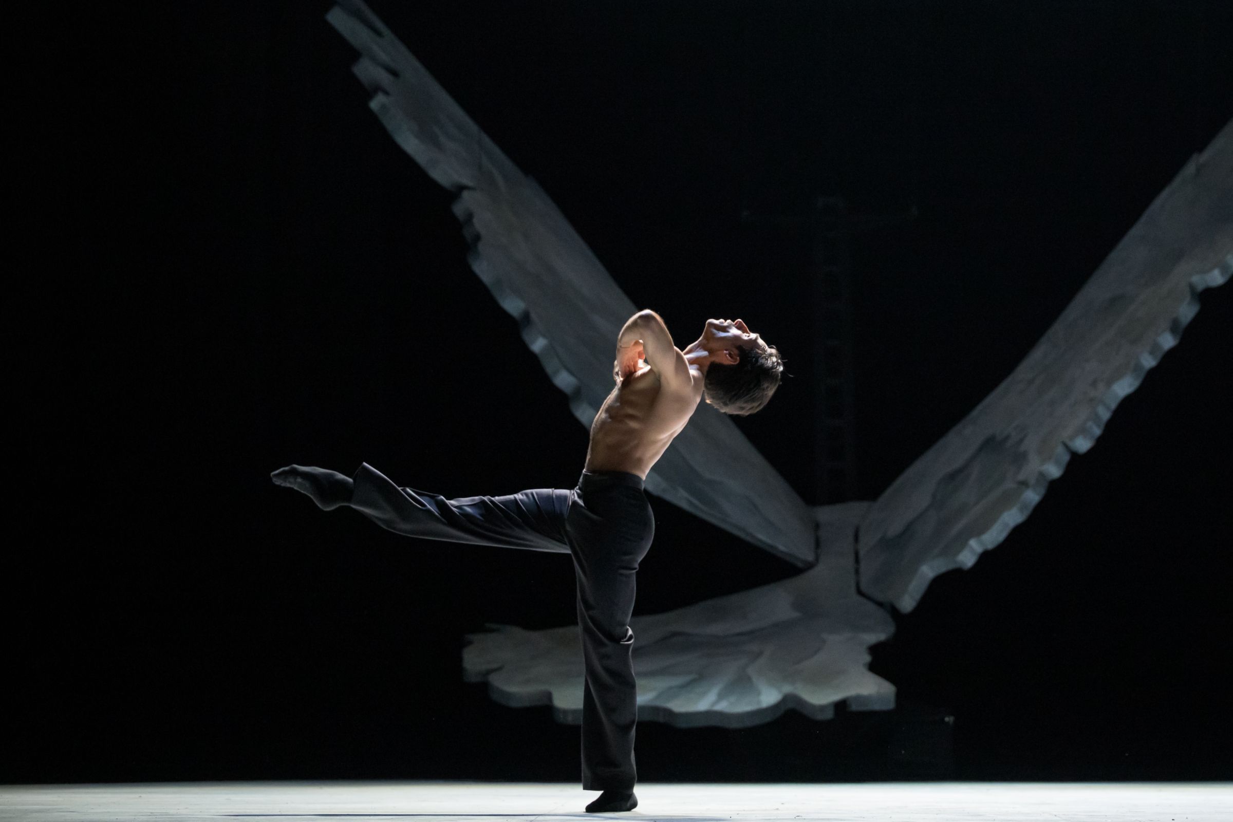 Giovanni Rotolo in Marco Goecke's <i>Fly Paper Bird</i> &copy; S. Gherciu