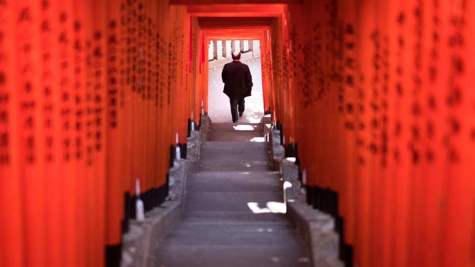 <i>Torii</i> shrine gates © Giuseppe Milo