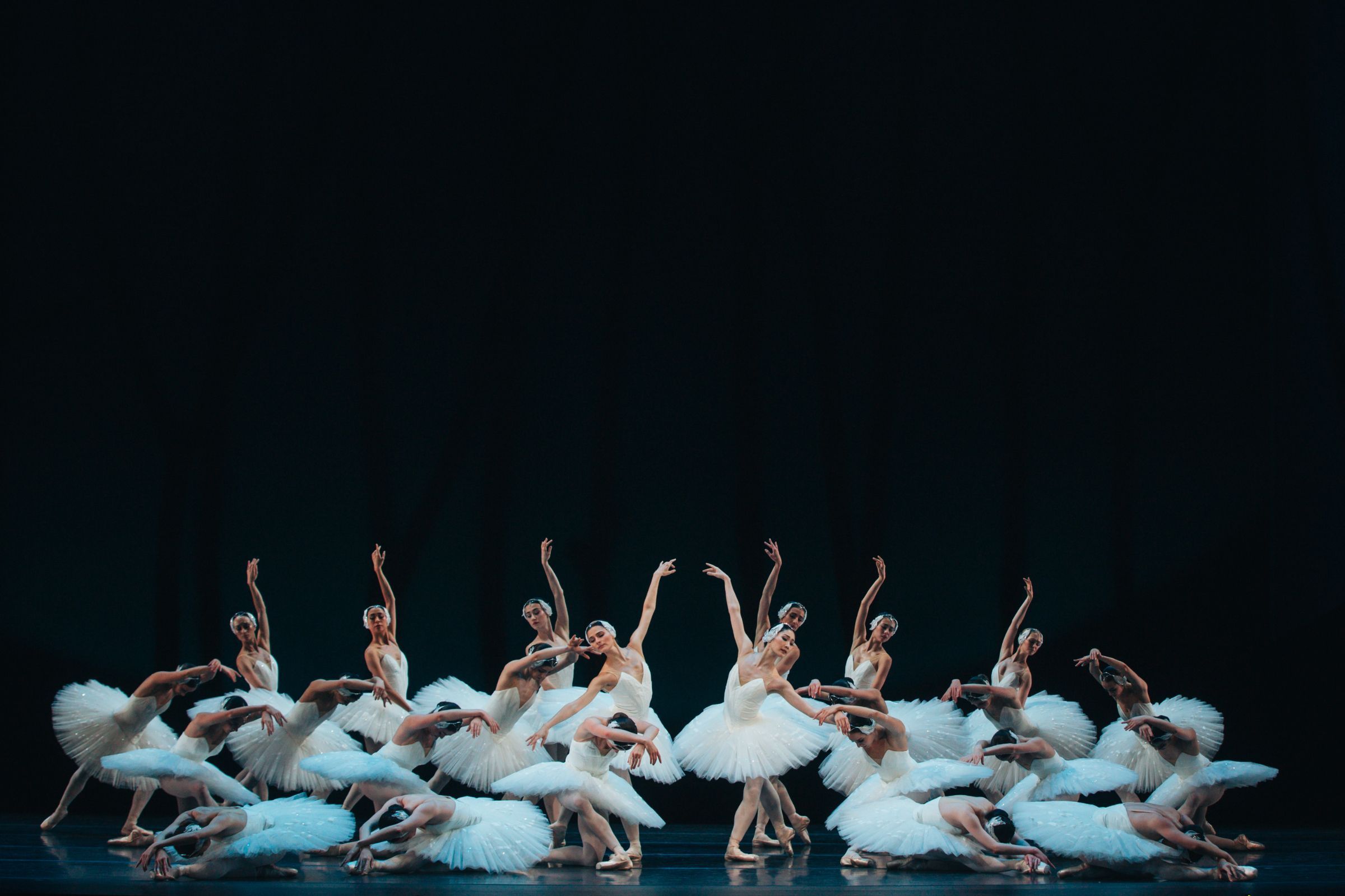 The Australian Ballet in <i>Swan Lake</i> &copy; Kate Longley