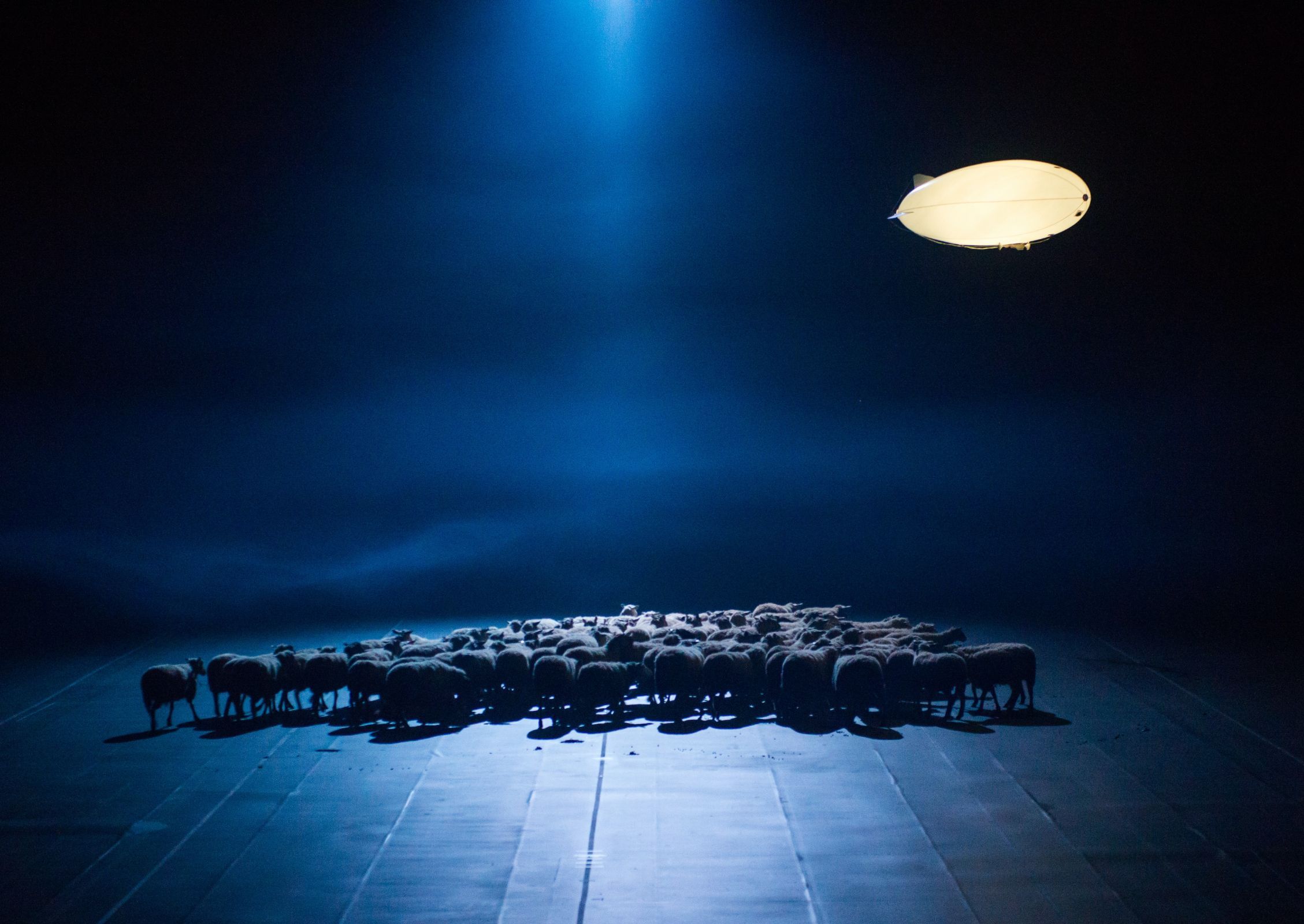 Sheep in Heiner Goebbels’ <i>De Materie</i> at the Park Avenue Armory, New York City &copy; Stephanie Berger Photography