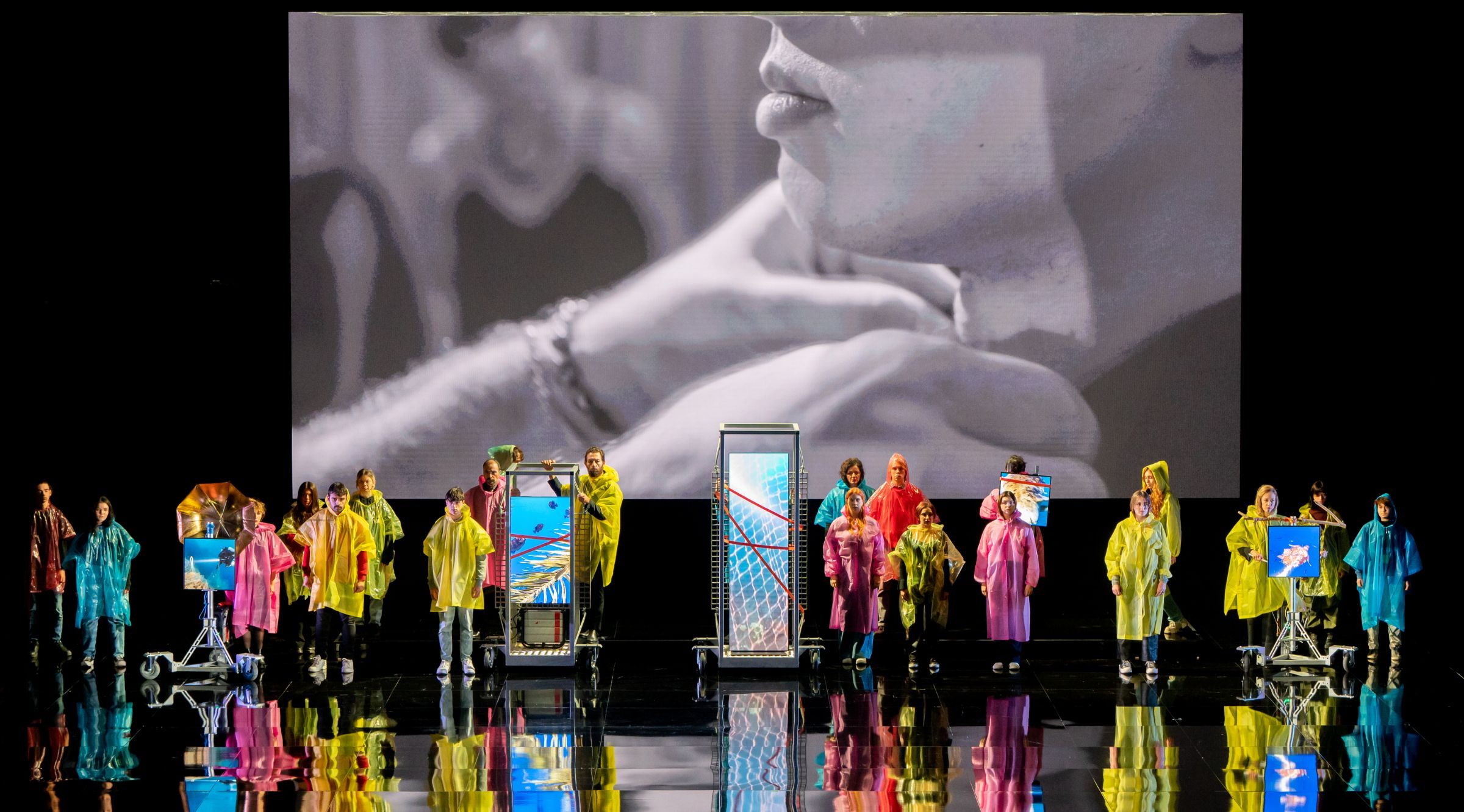 <i>Il diluvio universale</i> &copy; Gianfranco Rota