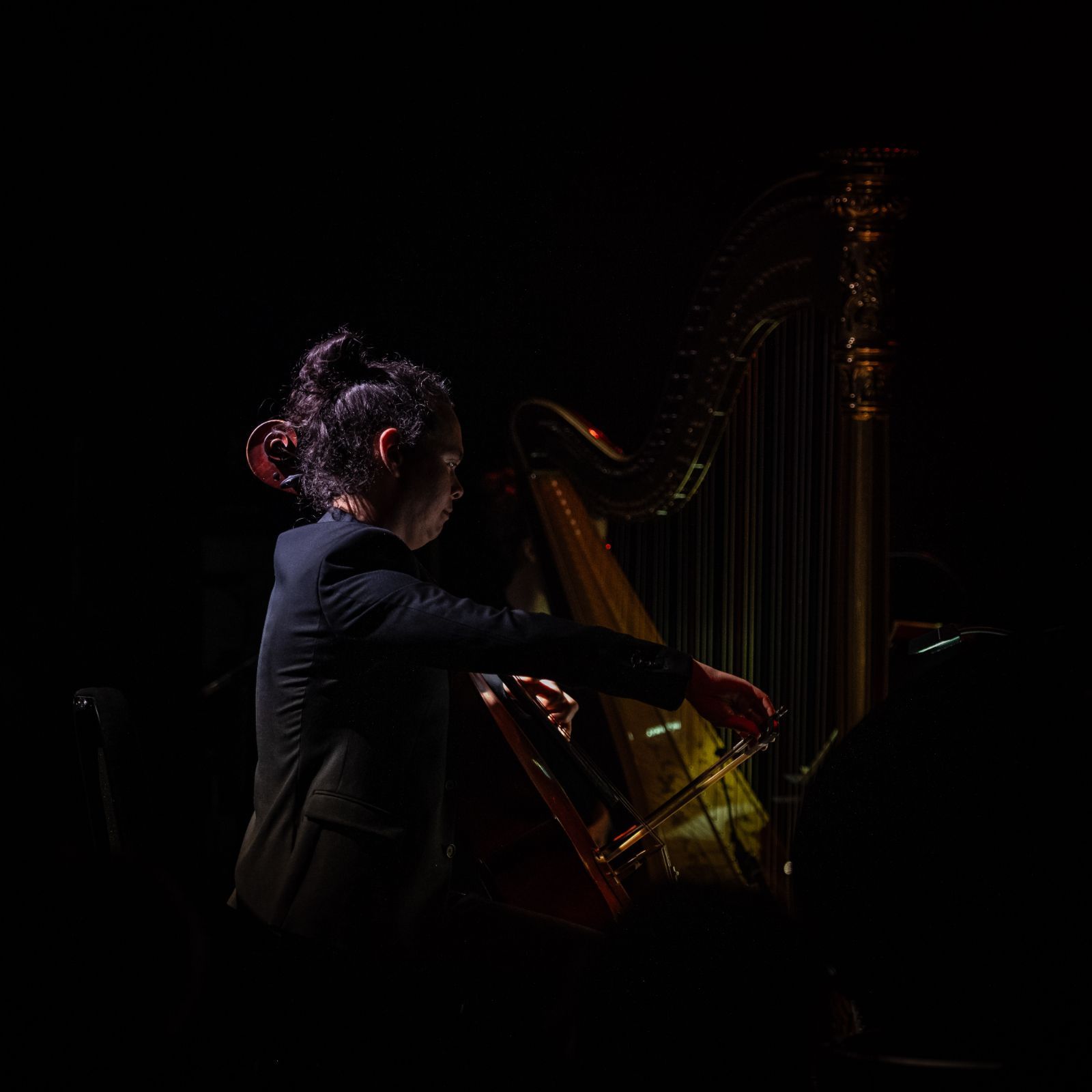 Sébastien van Kuijk &copy; Monika S Jakubowska
