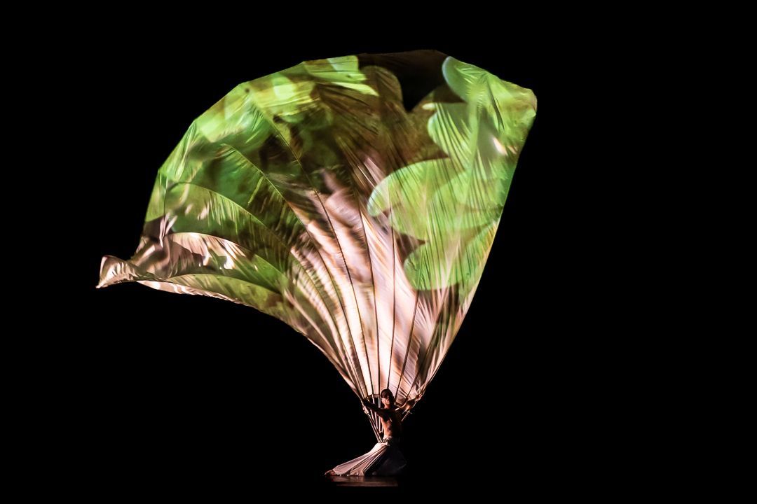 Dancer Anthony Boccini from MOMIX &copy; Renato Mangolin