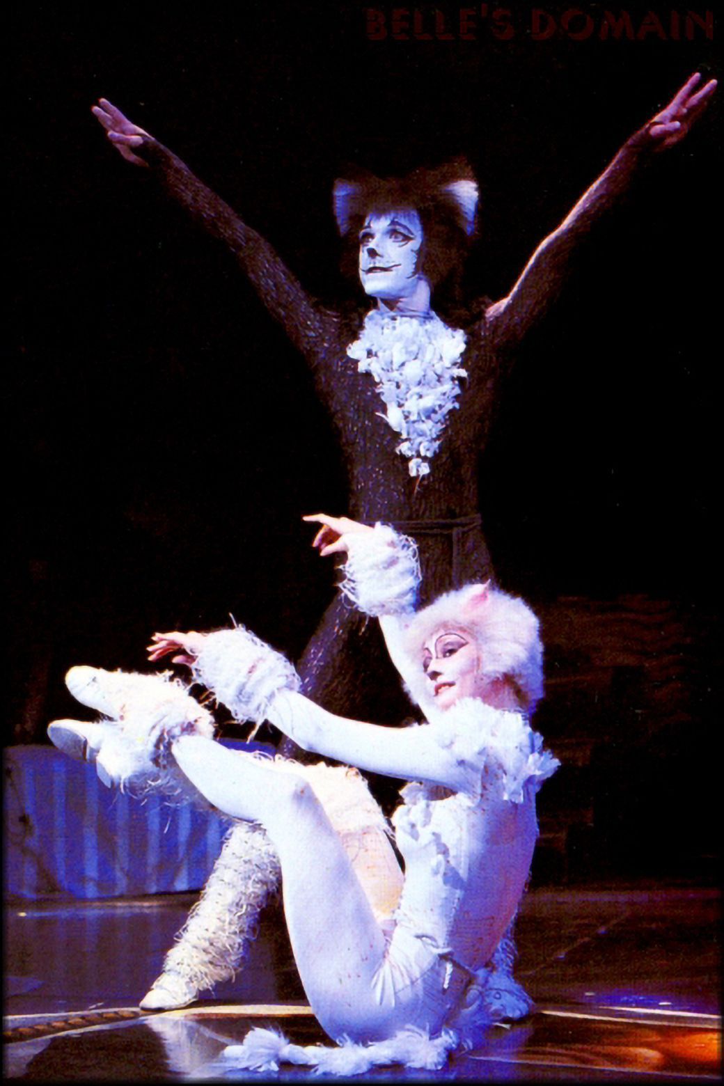 Flecky in Cats © Michael