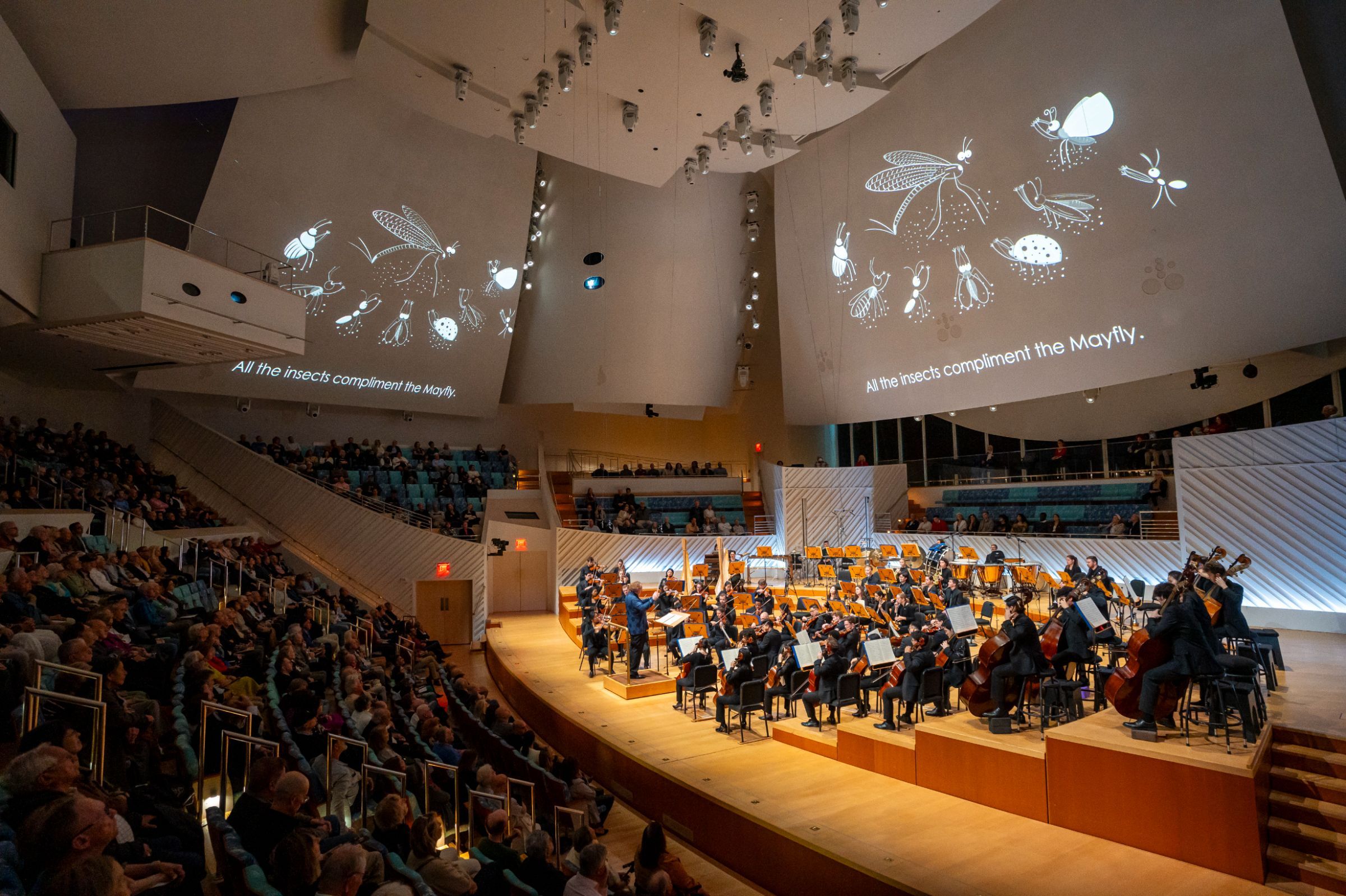 Stéphane Denève conducts the New World Symphony &copy; Alex Markow