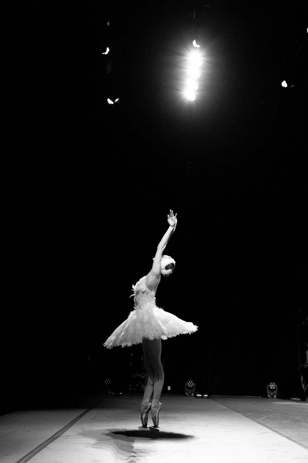 Olga Smirnova in Mikhail Fokine's <i>Dying Swan</i> &copy; Andrej Uspensky