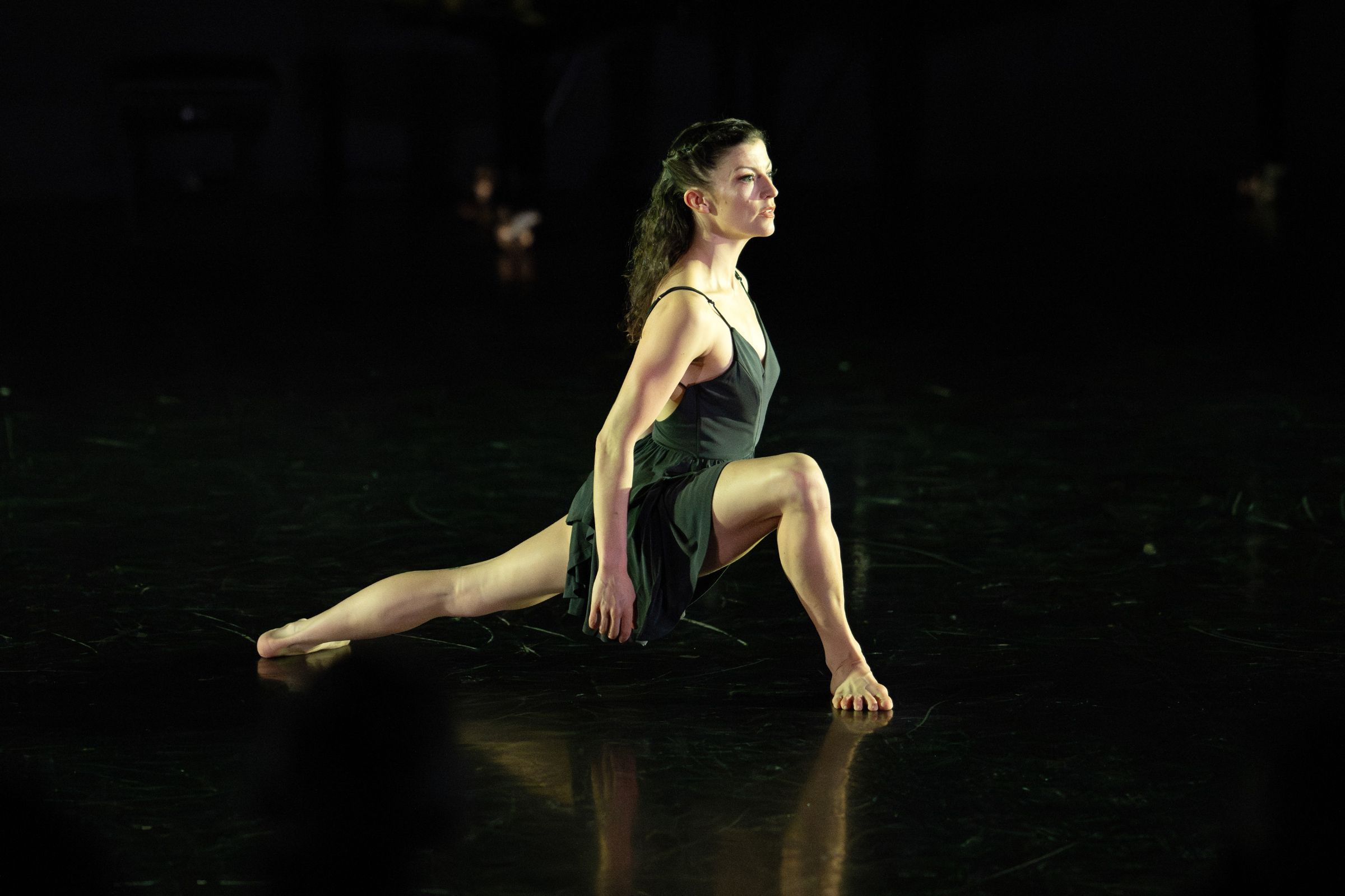 Laurel Dalley Smith in <i>Laurel</i> by Robert Cohan &copy; Deborah Jaffe
