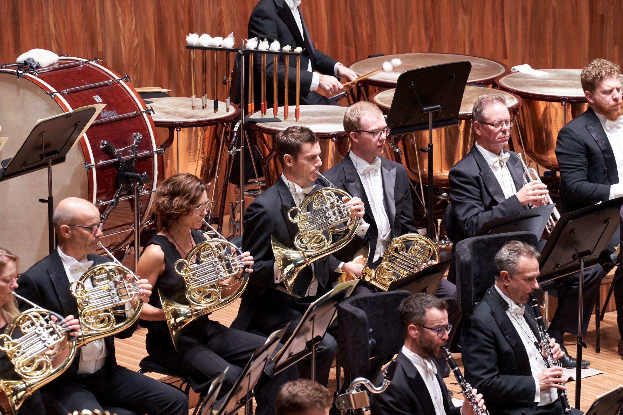 Sydney Symphony Orchestra &copy; Jay Patel