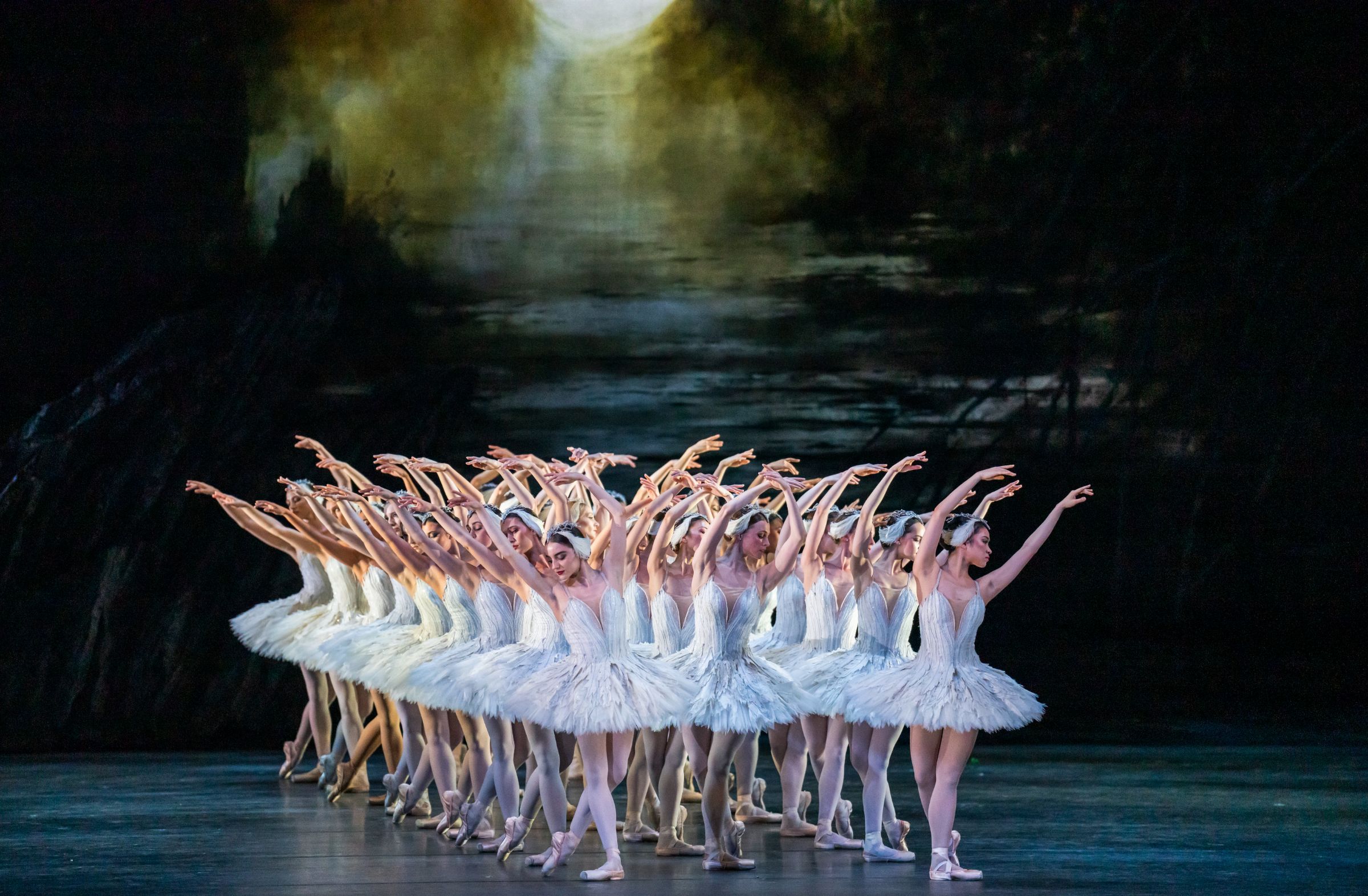 The Royal Ballet in Act 2 of Liam Scarlett's <i>Swan Lake</i> &copy; Bill Cooper