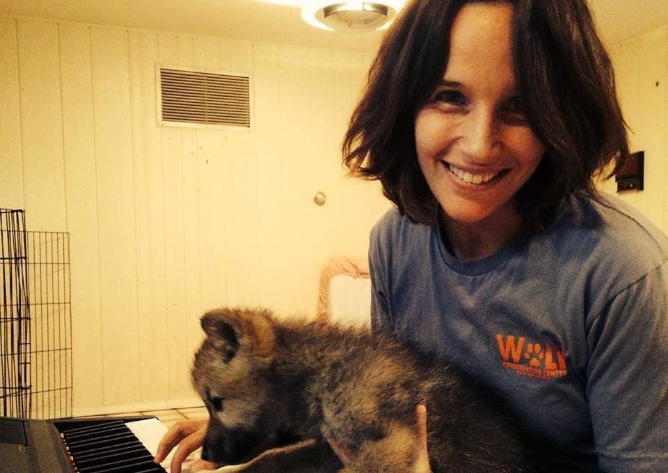 Grimaud practices with a wolf cub © Hélène Grimaud | Wolf Conservation Center