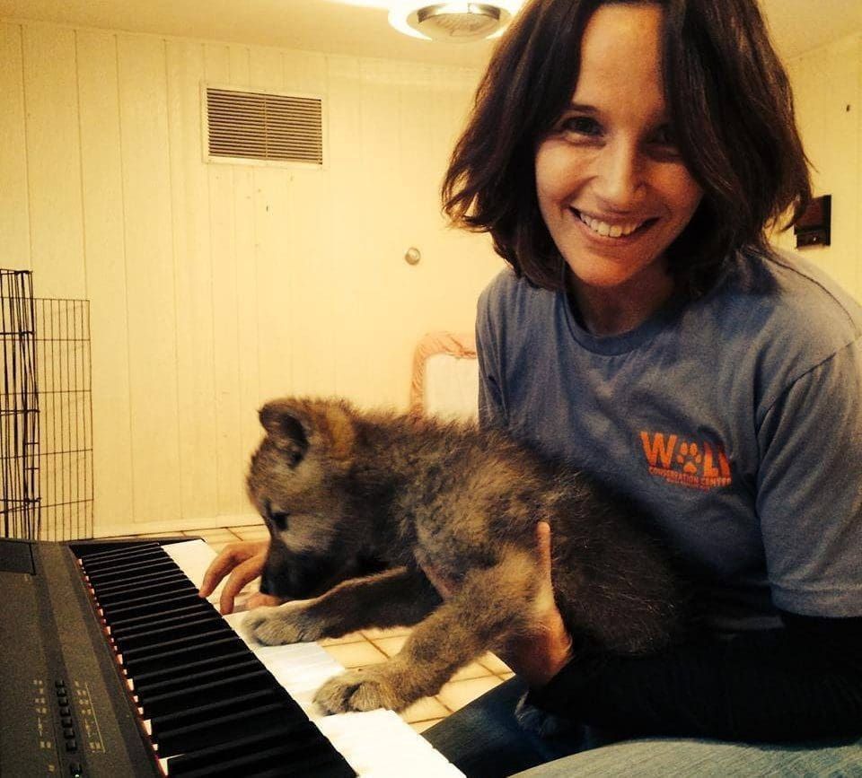 Grimaud practices with a wolf cub © Hélène Grimaud | Wolf Conservation Center