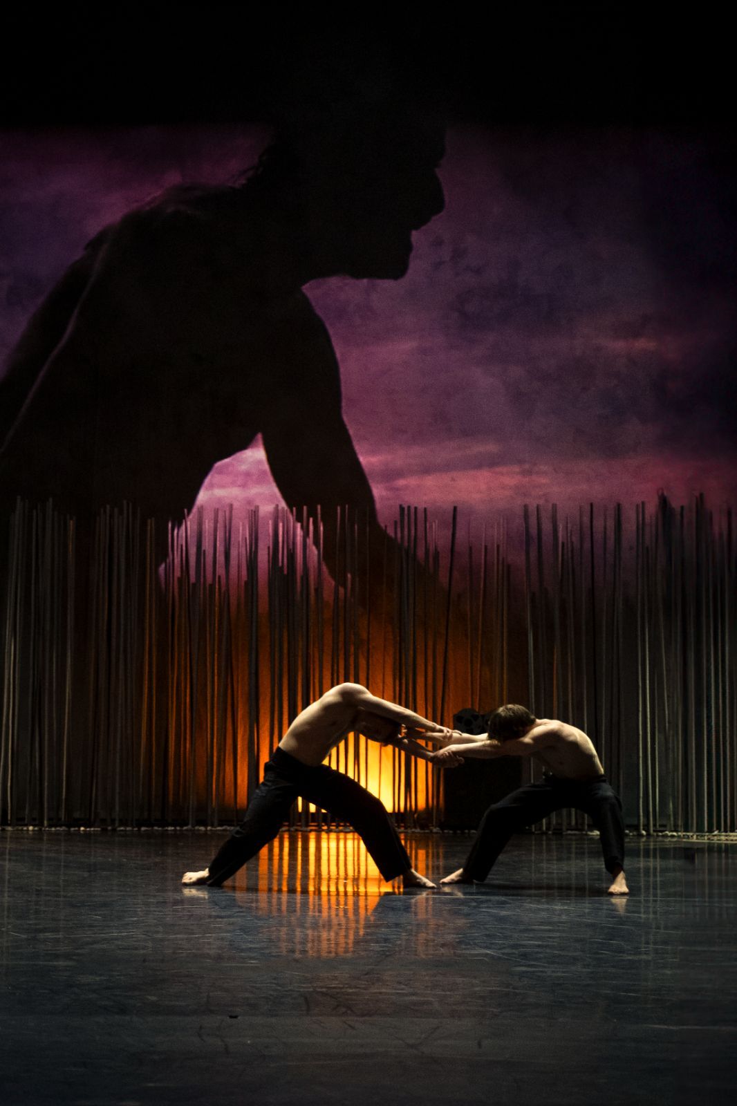Opera Ballet Vlaanderen in <i>PUUR</i> by Wim Vandekeybus © Danny Willems