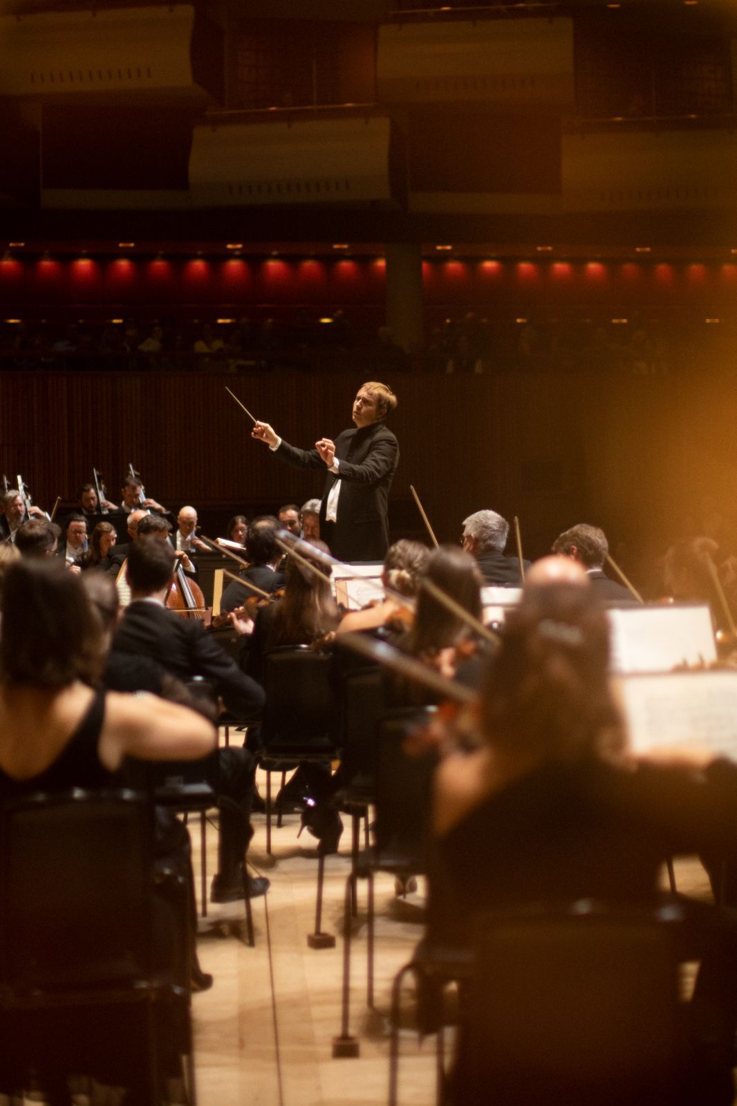 Vasily Petrenko conducts the Royal Philharmonic Orchestra &copy; Frances Marshall