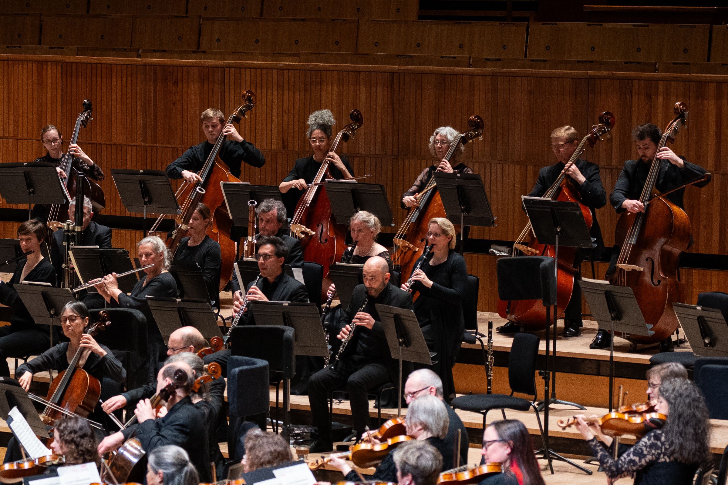 The Orchestra of the Age of Enlightenment &copy; Zen Grisdale