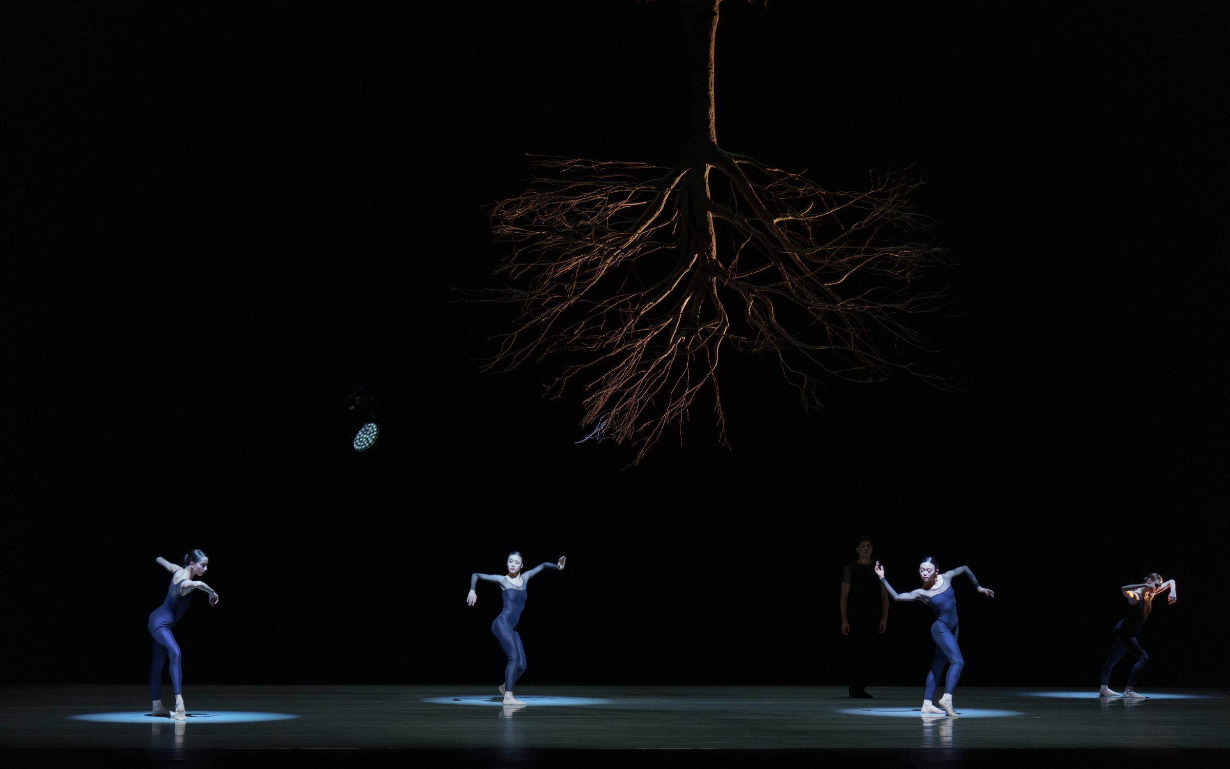 Dutch National Ballet in Jiří Kylián's <i>Wings of Wax</i> &copy; Altin Kaftira