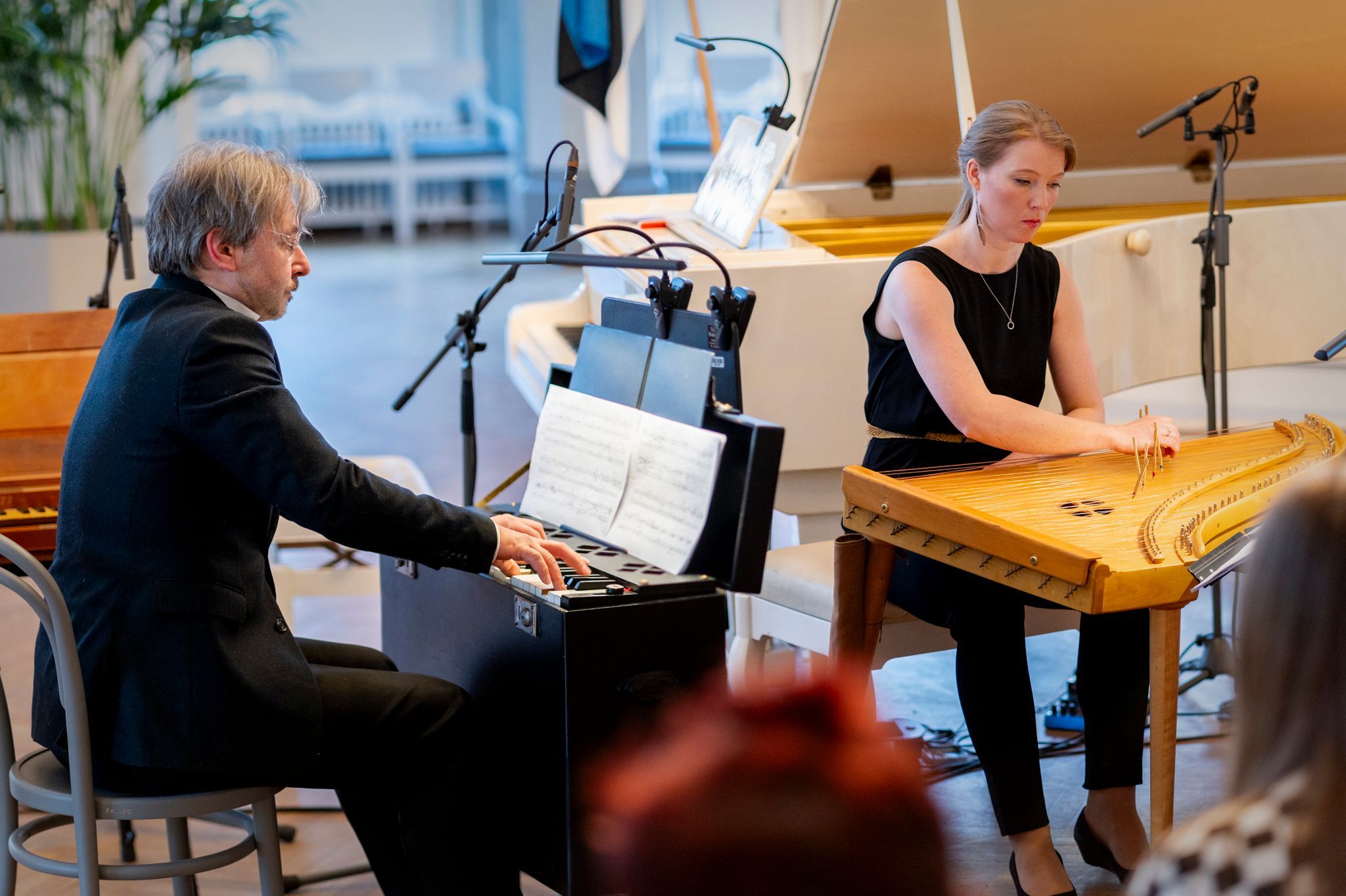 Taavi Kerikmäe (harmonium) and Anna-Liisa Eller (kannel) &copy; Rene Jakobson