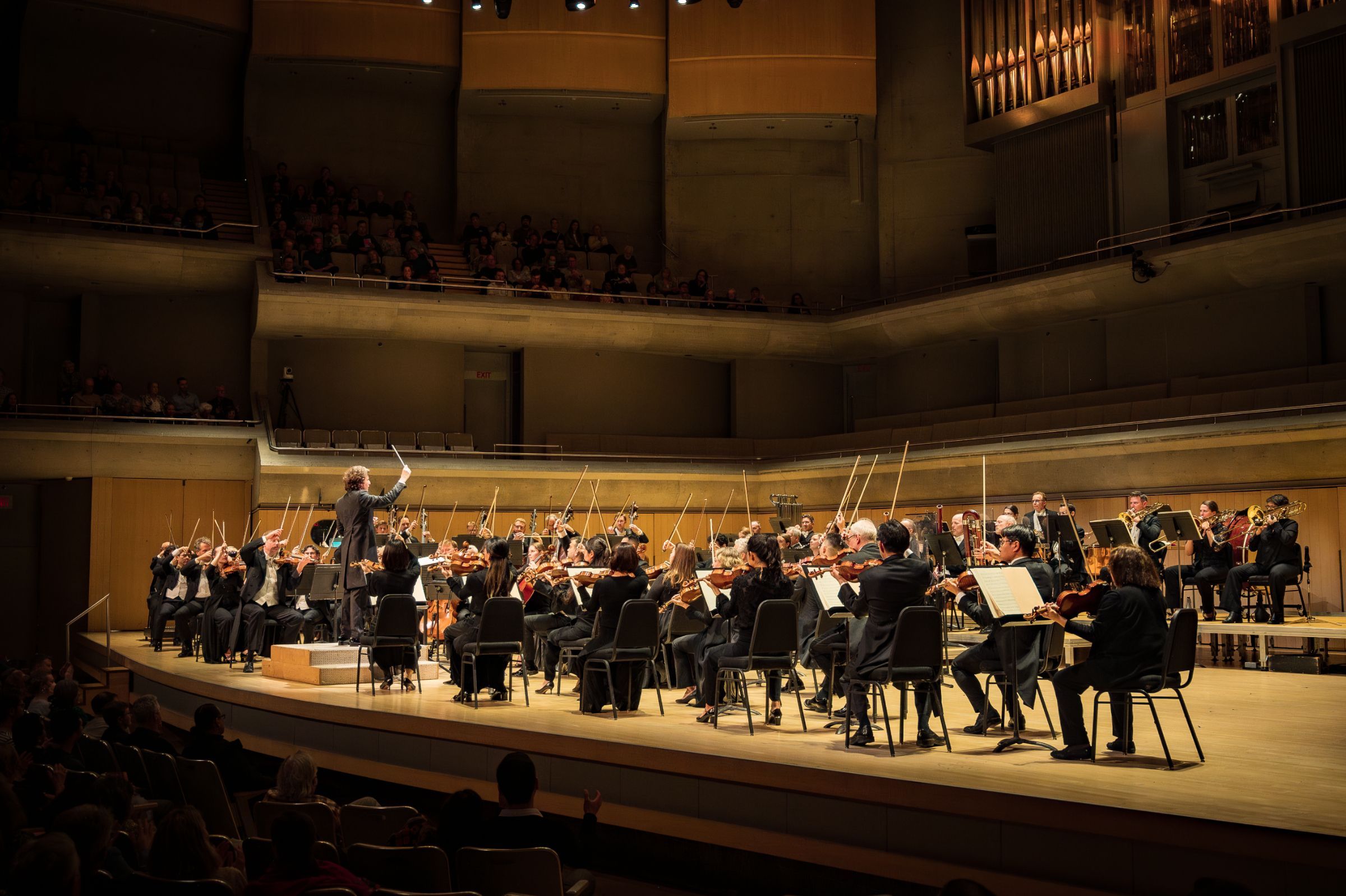 Toronto Symphony Orchestra &copy; Allan Cabral