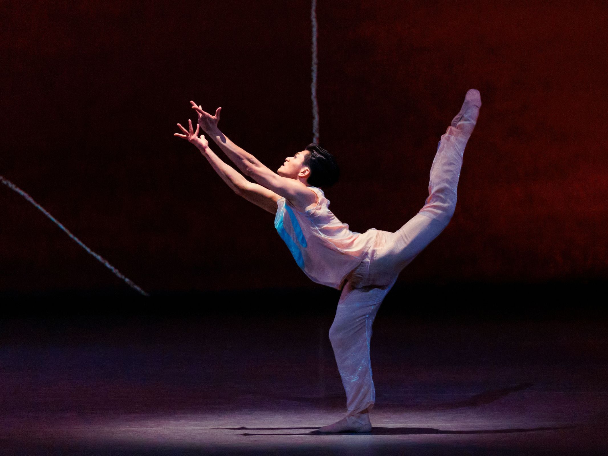 Chun Wai Chan in Alexei Ratmansky's <i>Pictures at an Exhibition</i> © Erin Baiano