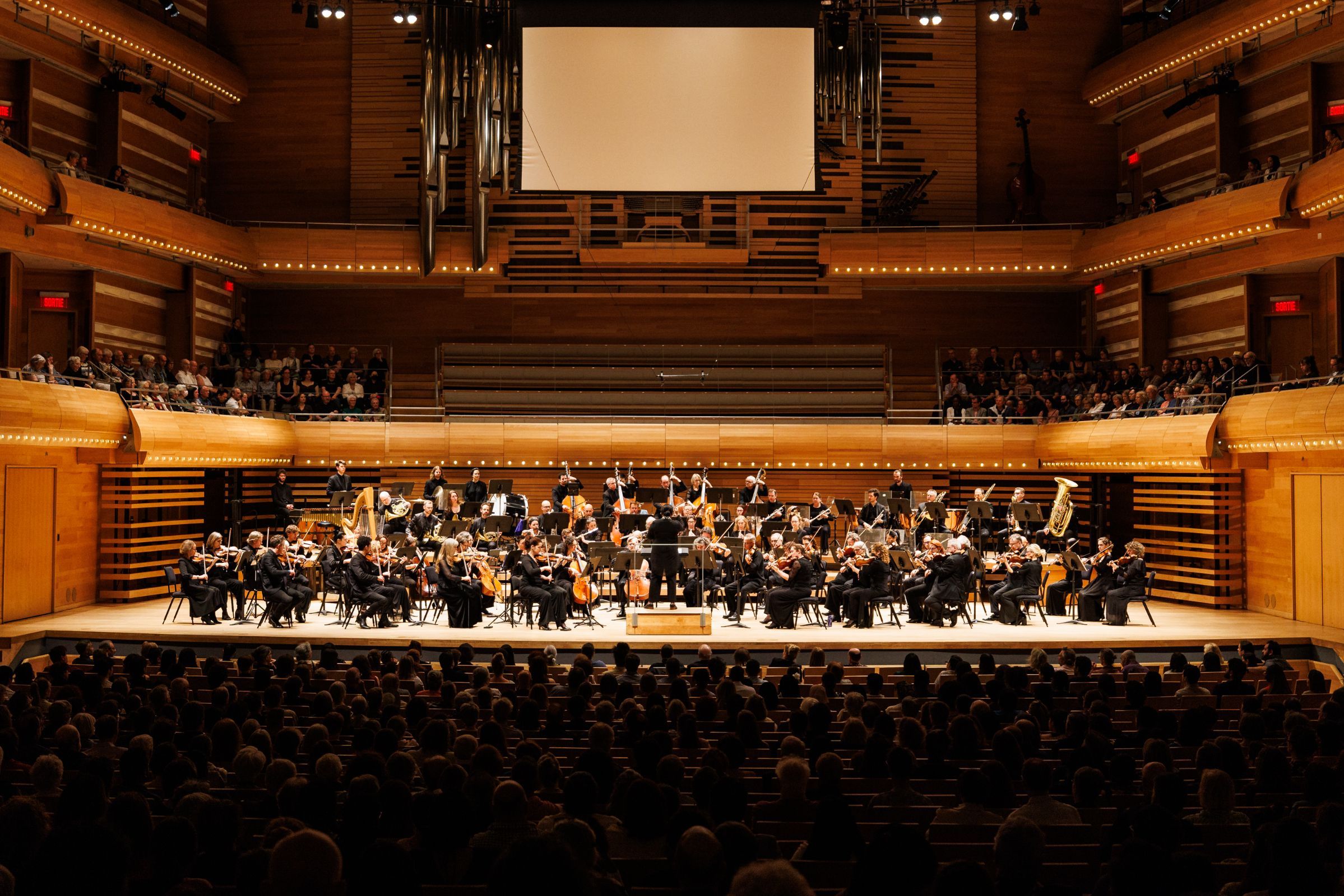 Glass Marcano conducts the Orchestre Métropolitain &copy; Denis Germain | Orchestre Métropolitain