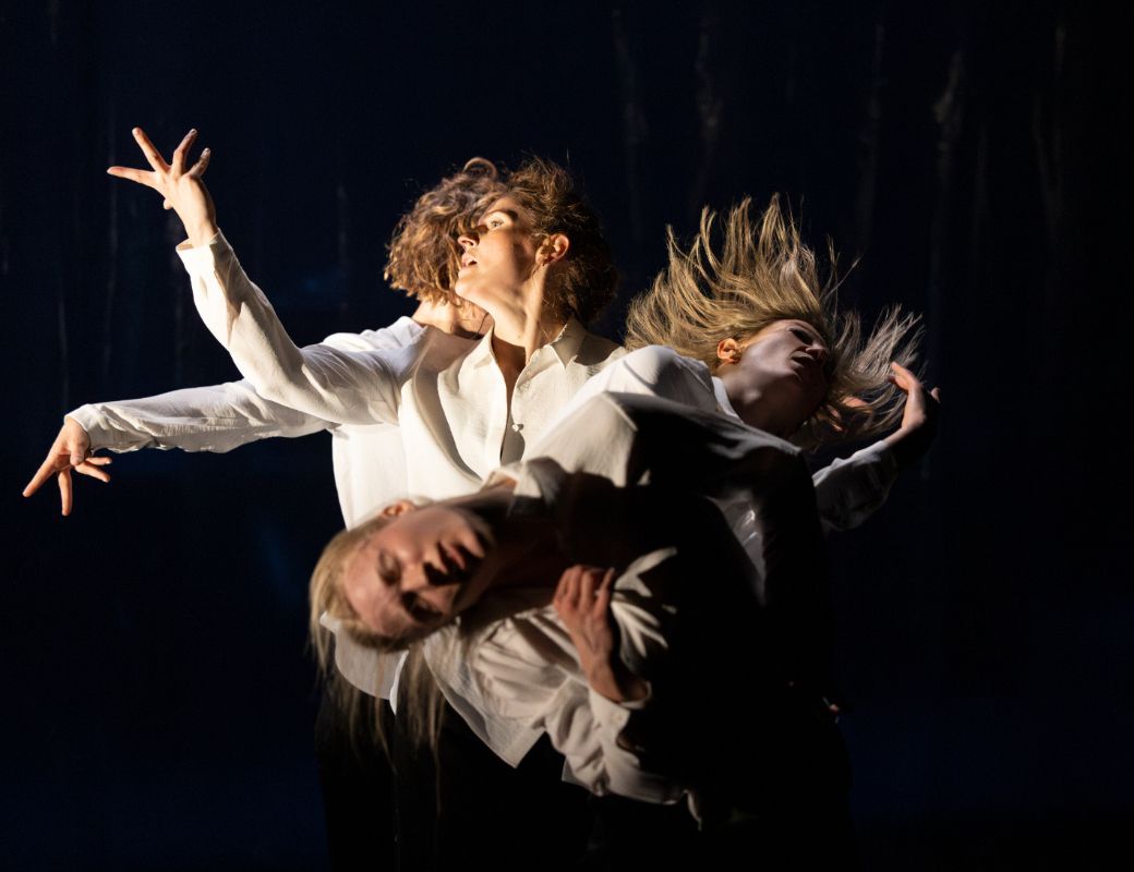 Jo Str&oslash;mgren Kompani in <i>The Basement</i> &copy; Jubal Battisti