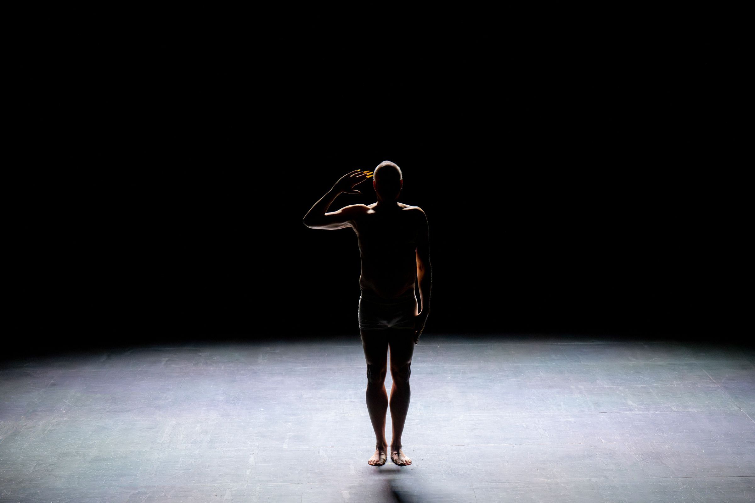 <i>Eight Songs for a Mad King</i> au Festival d'Aix © Monika Rittershaus