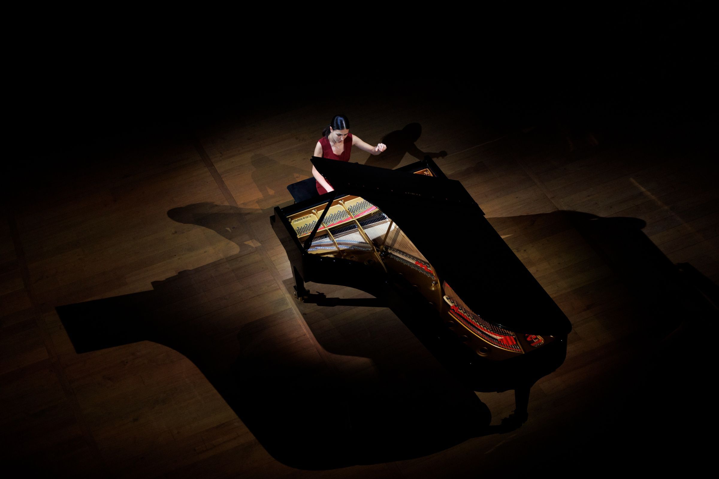 Alexandra Dovgan à la Grange au Lac © Matthieu Joffres