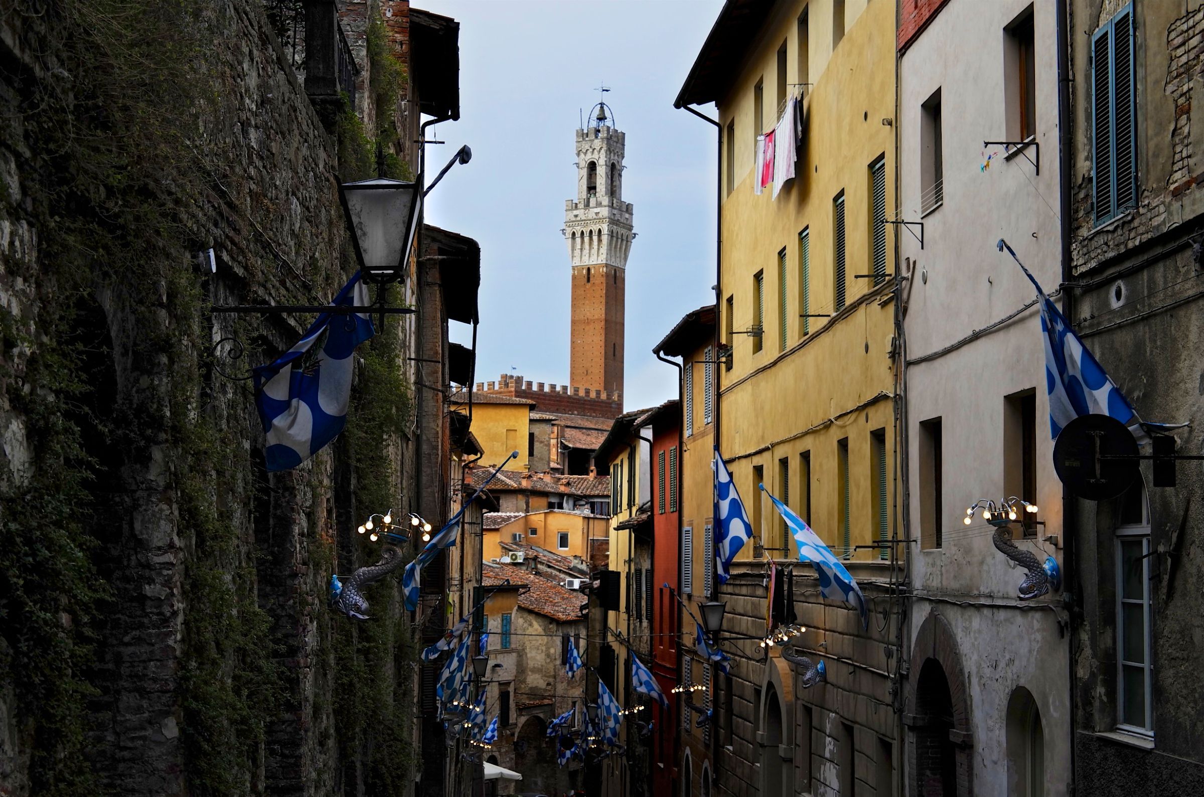 Siena during the Palio © Antonio Cinotti