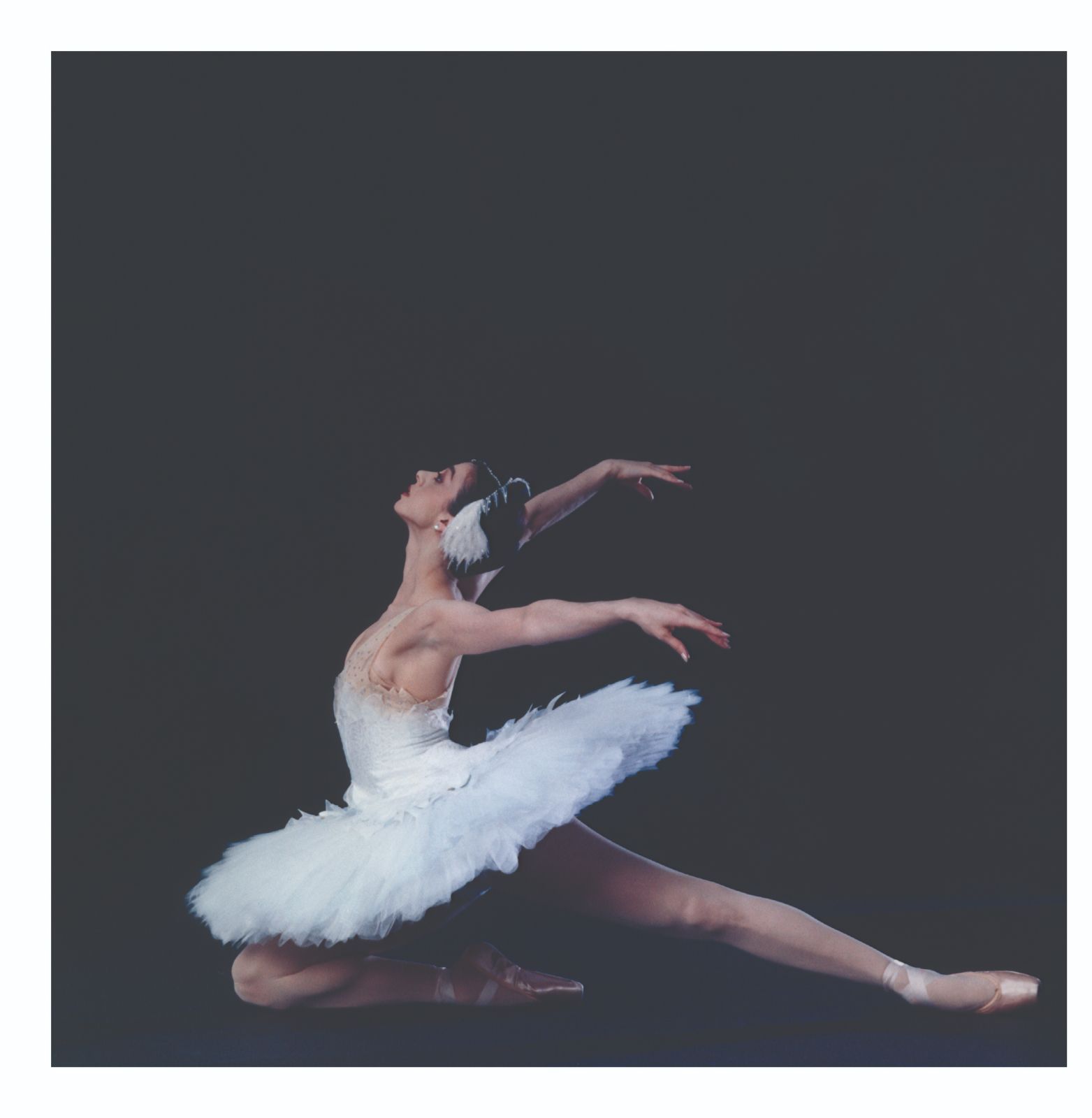 Nina Ananiashvili as <i>The Dying Swan</i> © State Ballet of Georgia