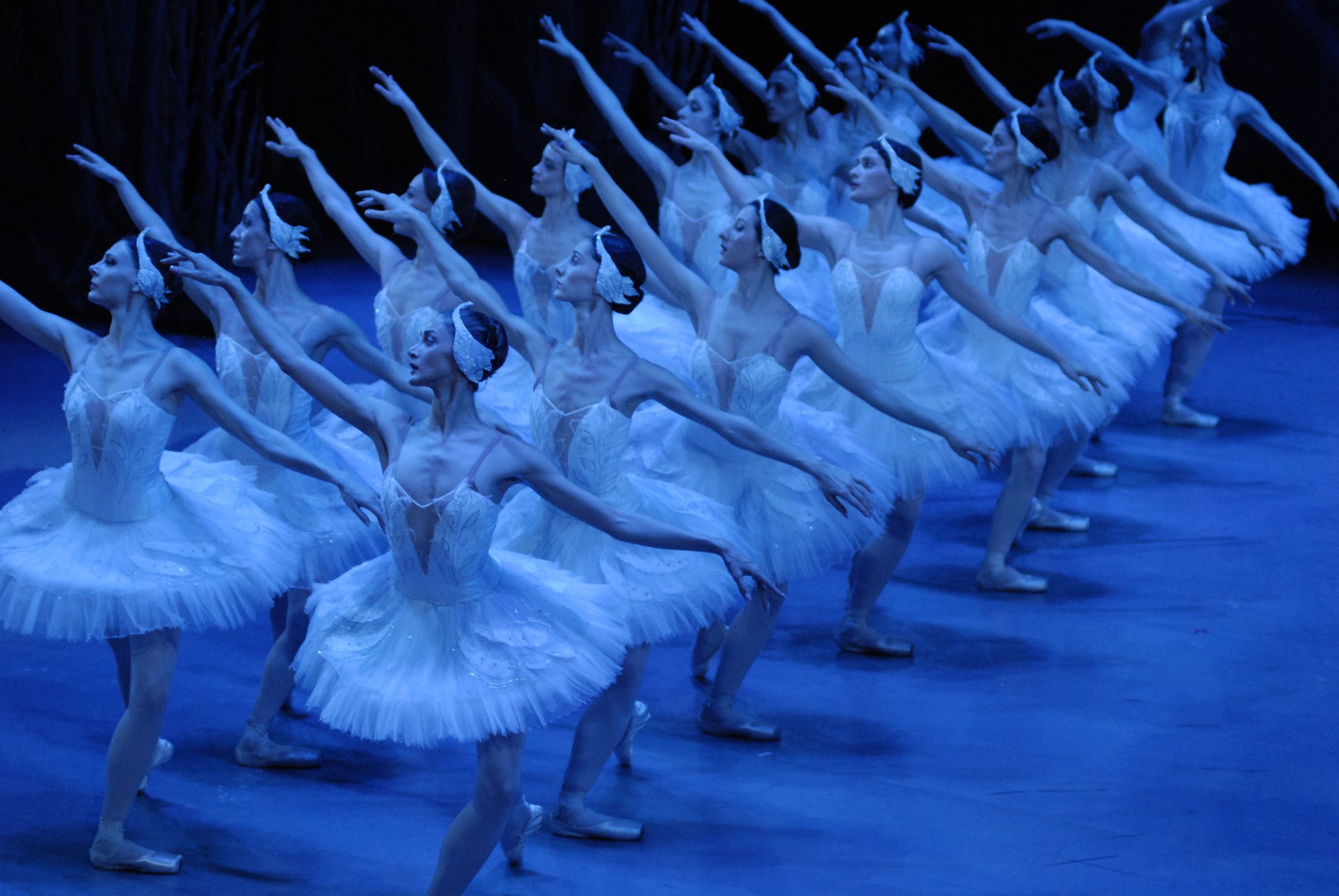 State Ballet of Georgia in Alexei Fadeyechev's <i>Swan Lake</i> © State Ballet of Georgia