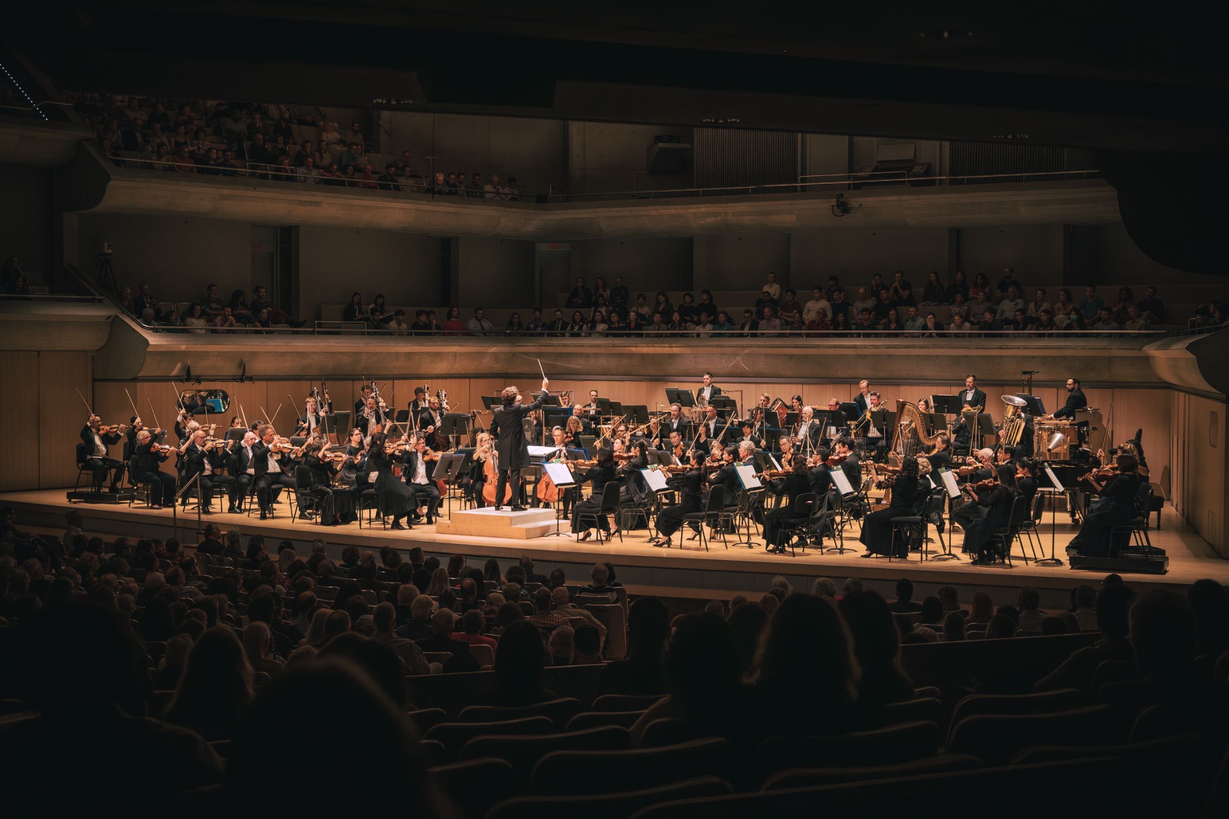 Gustavo Gimeno conducts the Toronto Symphony Orchestra &copy; Allan Cabral