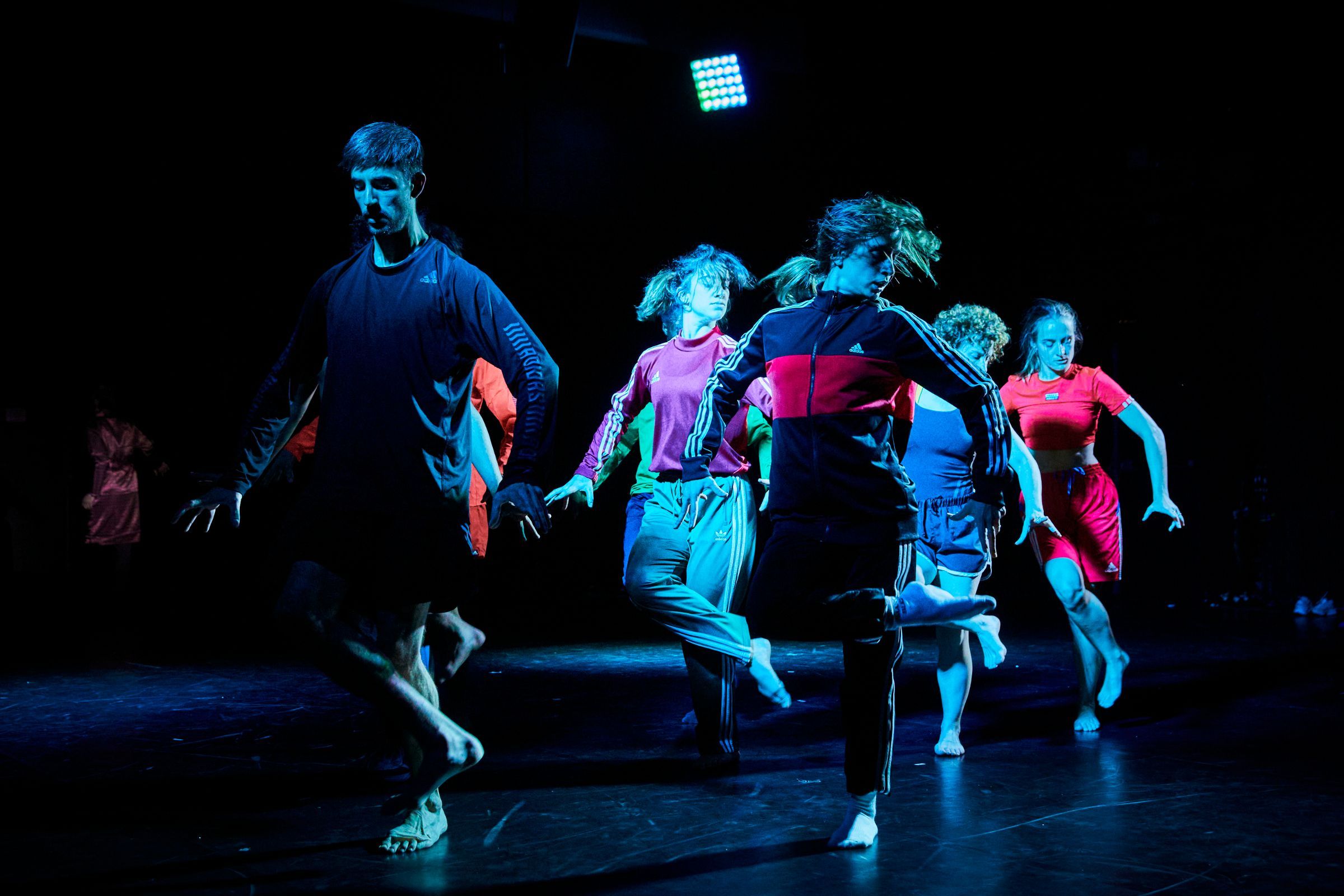 <i>Le Grand Sot</i> © Christophe Raynaud de Lage