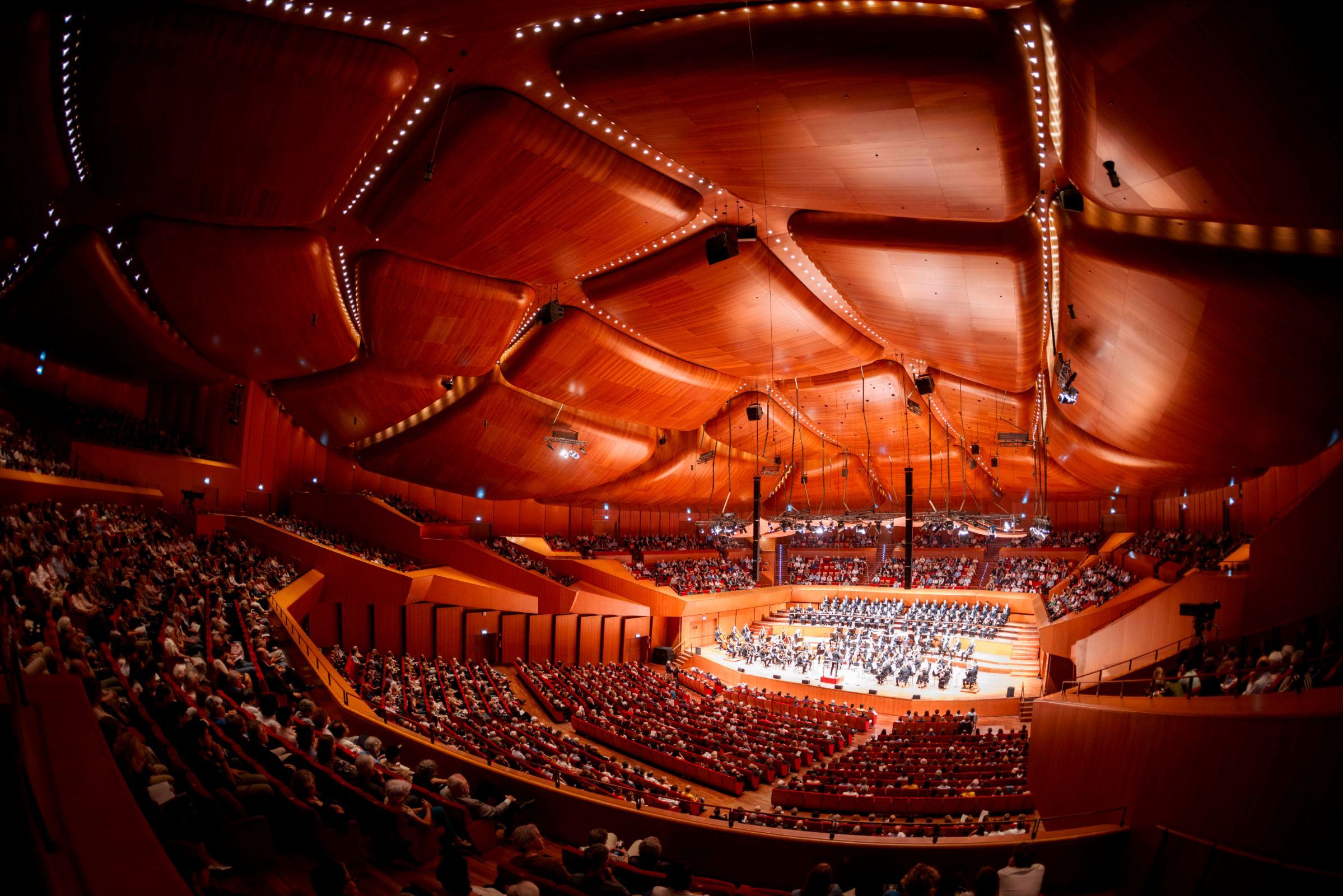 Sala Santa Cecilia - Auditorium Parco della Musica Ennio Morricone &copy; MUSA / Musacchio &amp; Pasqualini