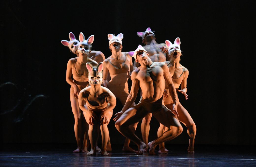 Down the Rabbit Hole &copy; Momix