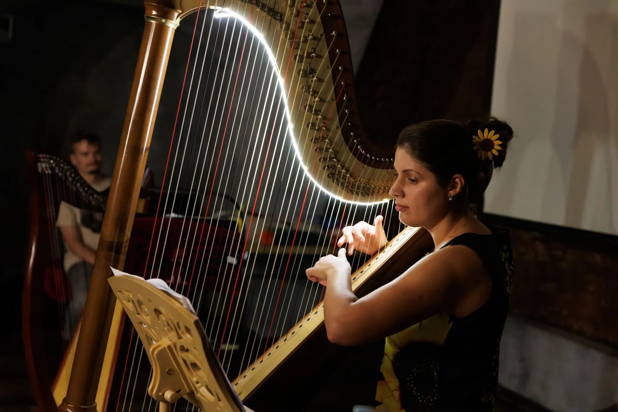 Glowing Harp Festival 2024, Kharkhiv &copy; EMCY