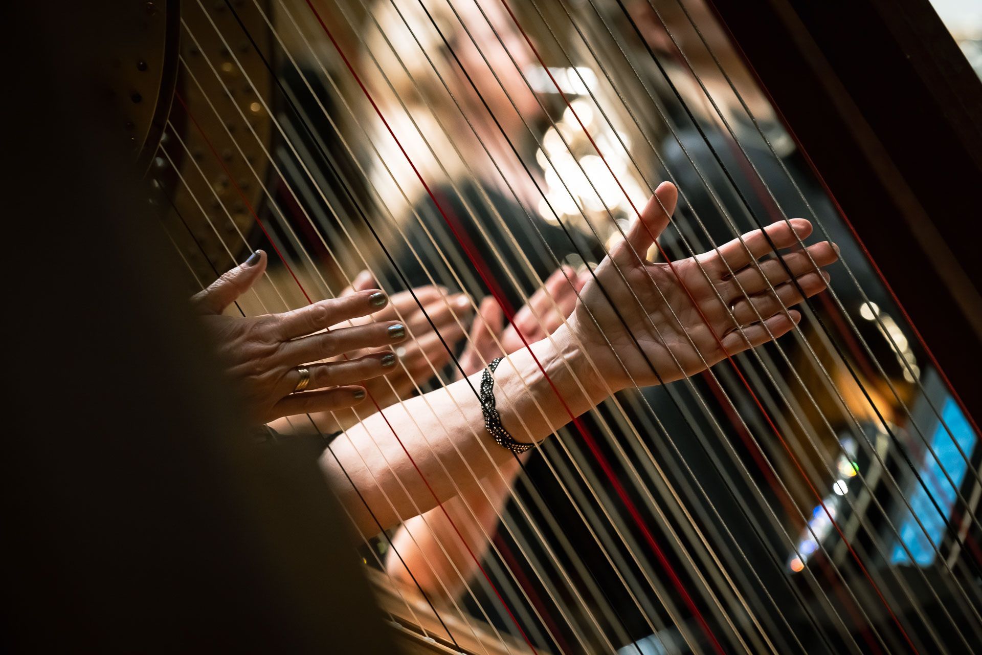 Harps of the Czech Philharmonic &copy; Petra Hajská
