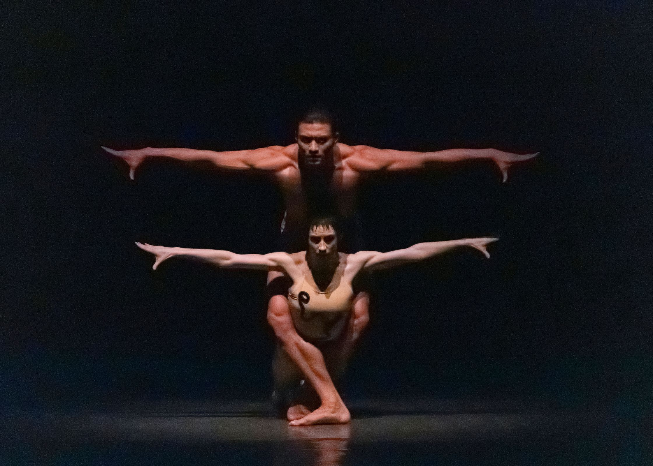 Alexa Maxwell and Chun Wai Chan in Jerome Robbins' <i>The Cage</i> &copy; Erin Baiano