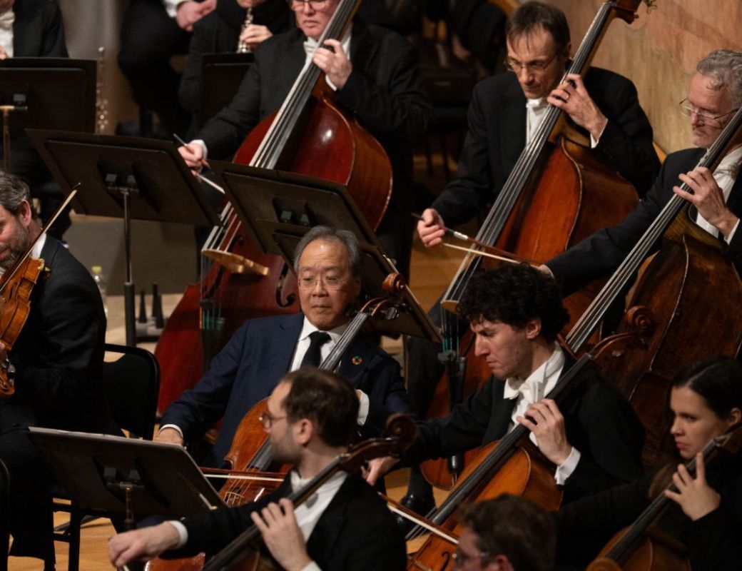 Unexpected member of cello section © Raphaël Faux
