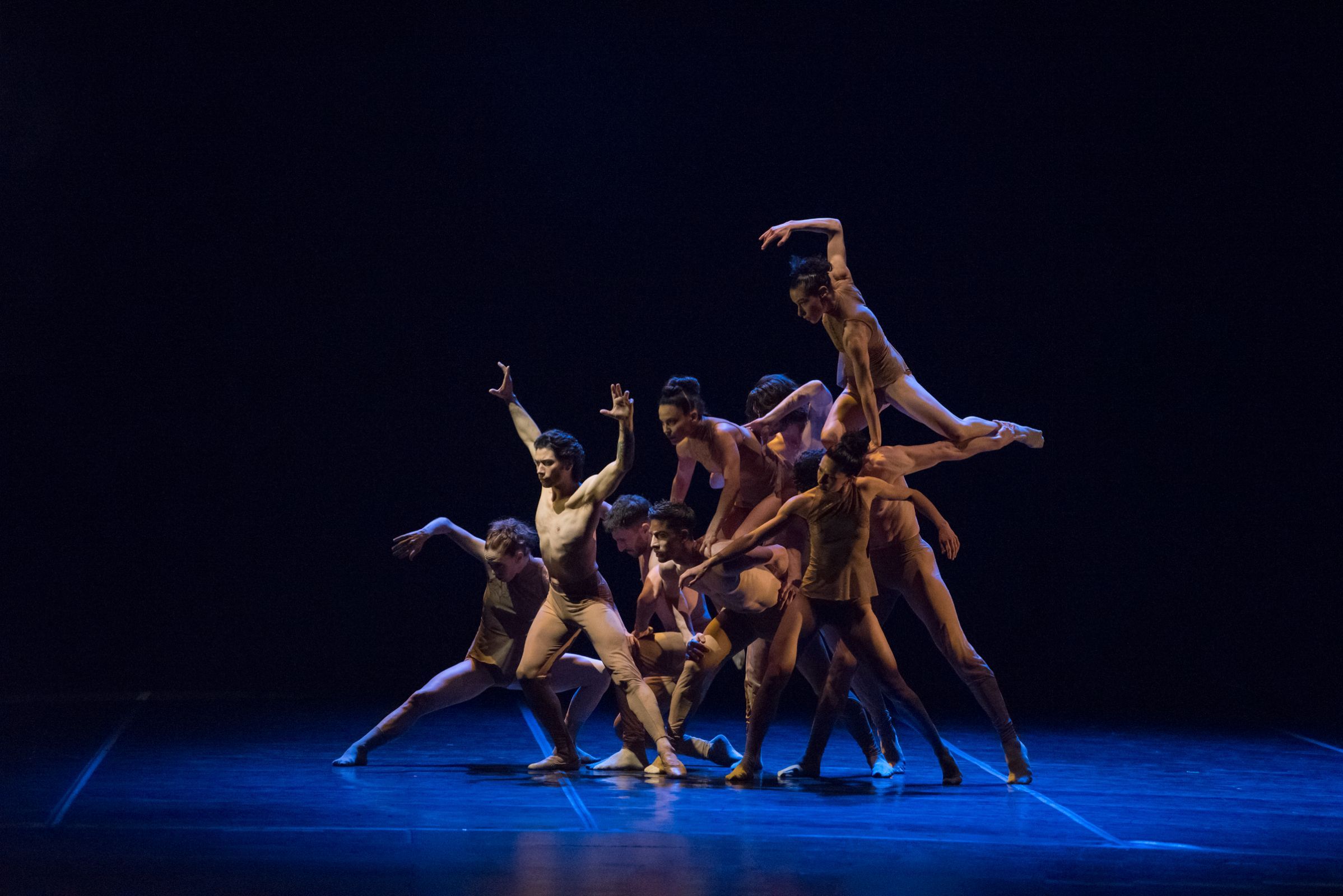 Herman Cornejo and Grupo Cadabra in <i>Anima Animal</i> © Carlos Villamayor