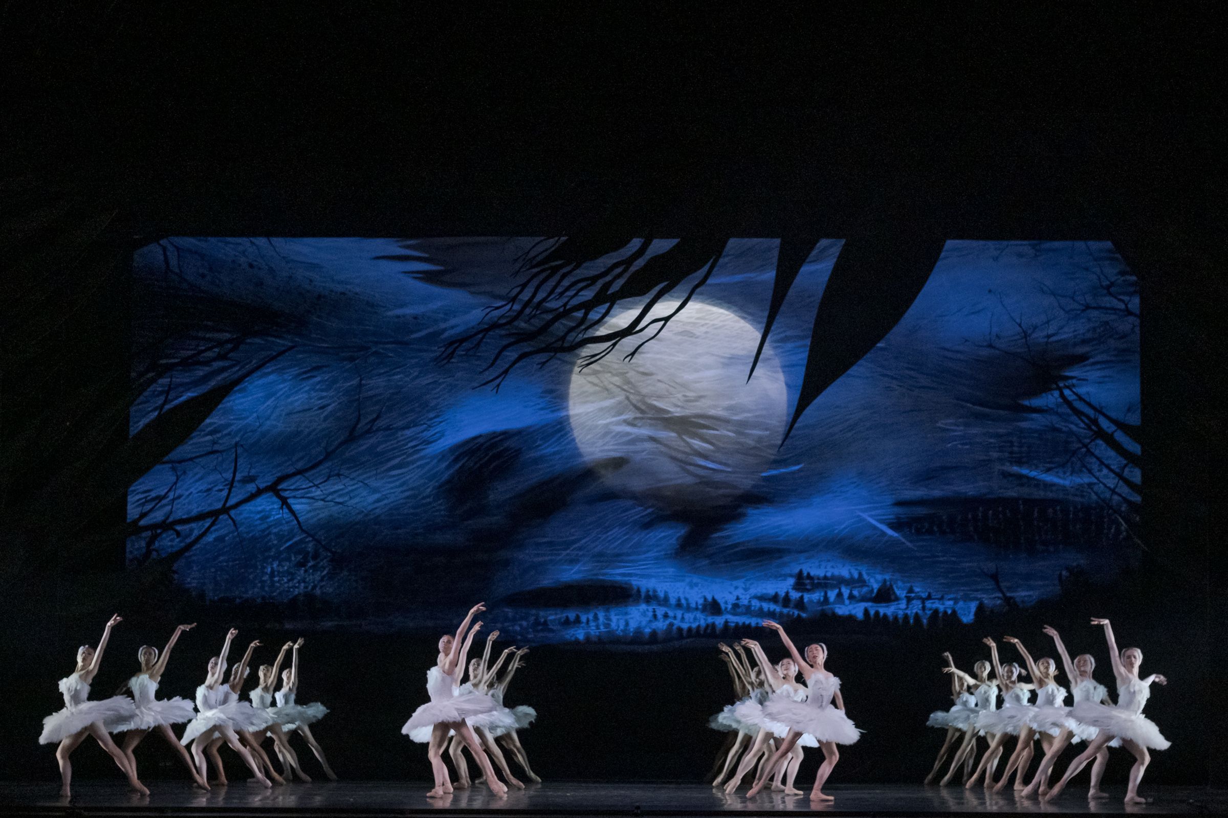 National Ballet of Canada in <i>Swan Lake</i> &copy; Karolina Kuras
