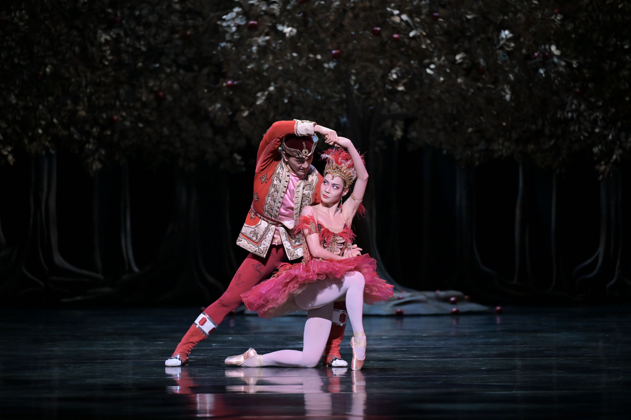 Risako Ikeda as the Firebird and Takuro Watanabe as Prince Ivan in <i>The Firebird</i> &copy; Takashi Shikama