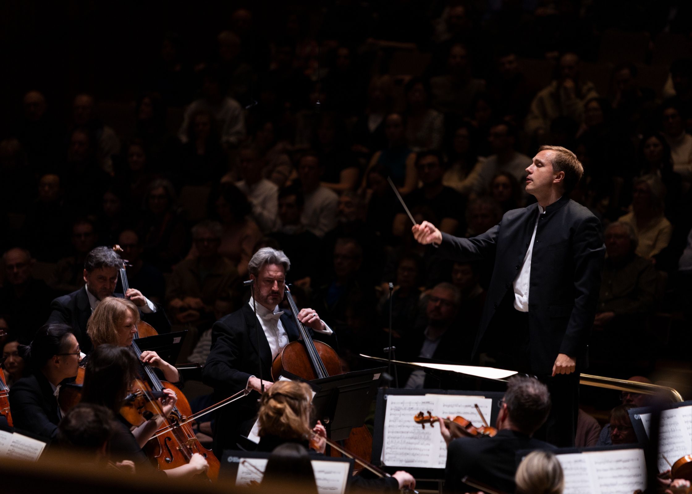 Vasily Petrenko conducts the Royal Philharmonic Orchestra &copy; Frances Marshall