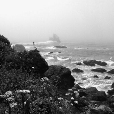 Lost Coast
