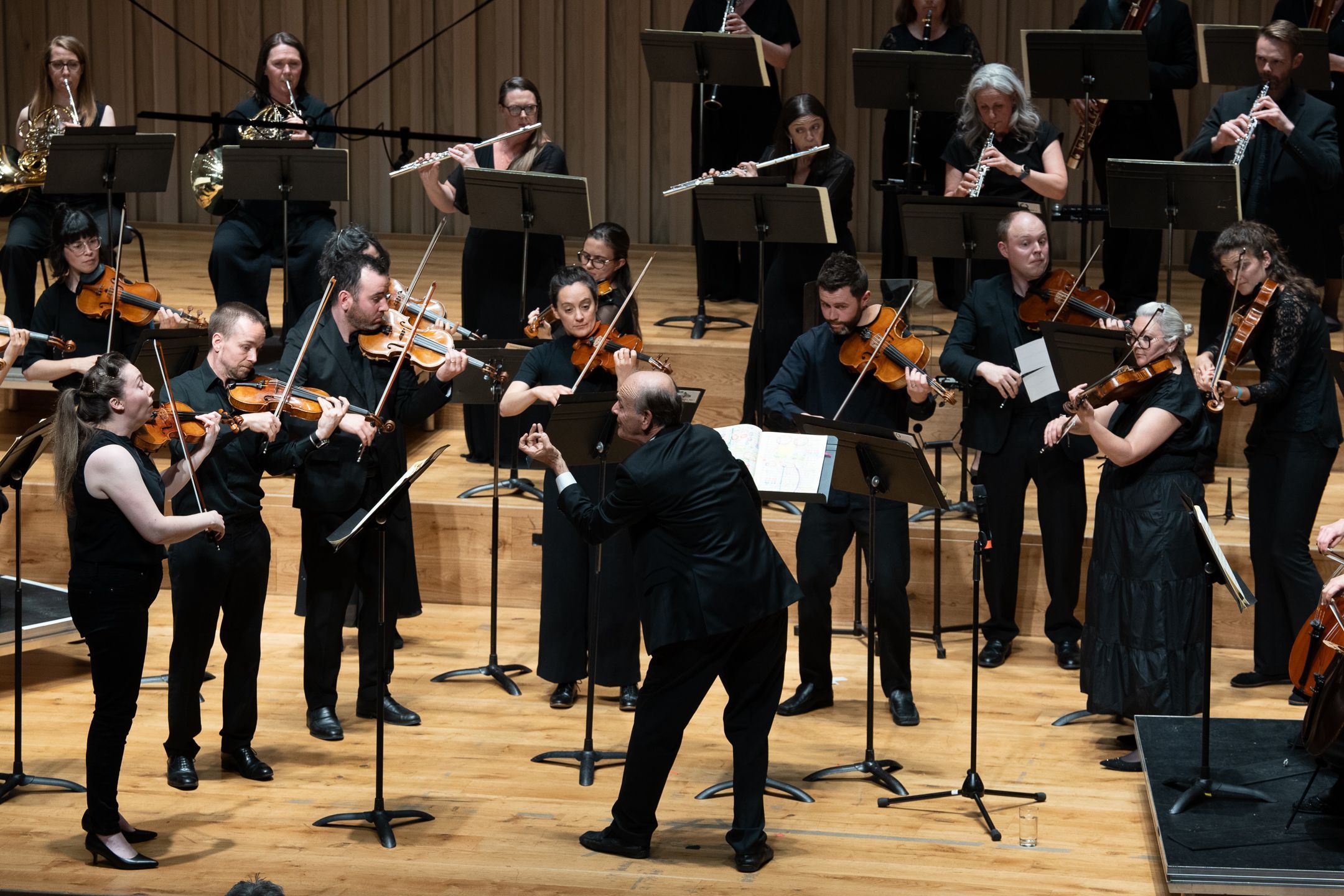 Gábor Takács-Nagy conducts Manchester Camerata © Reb Everett