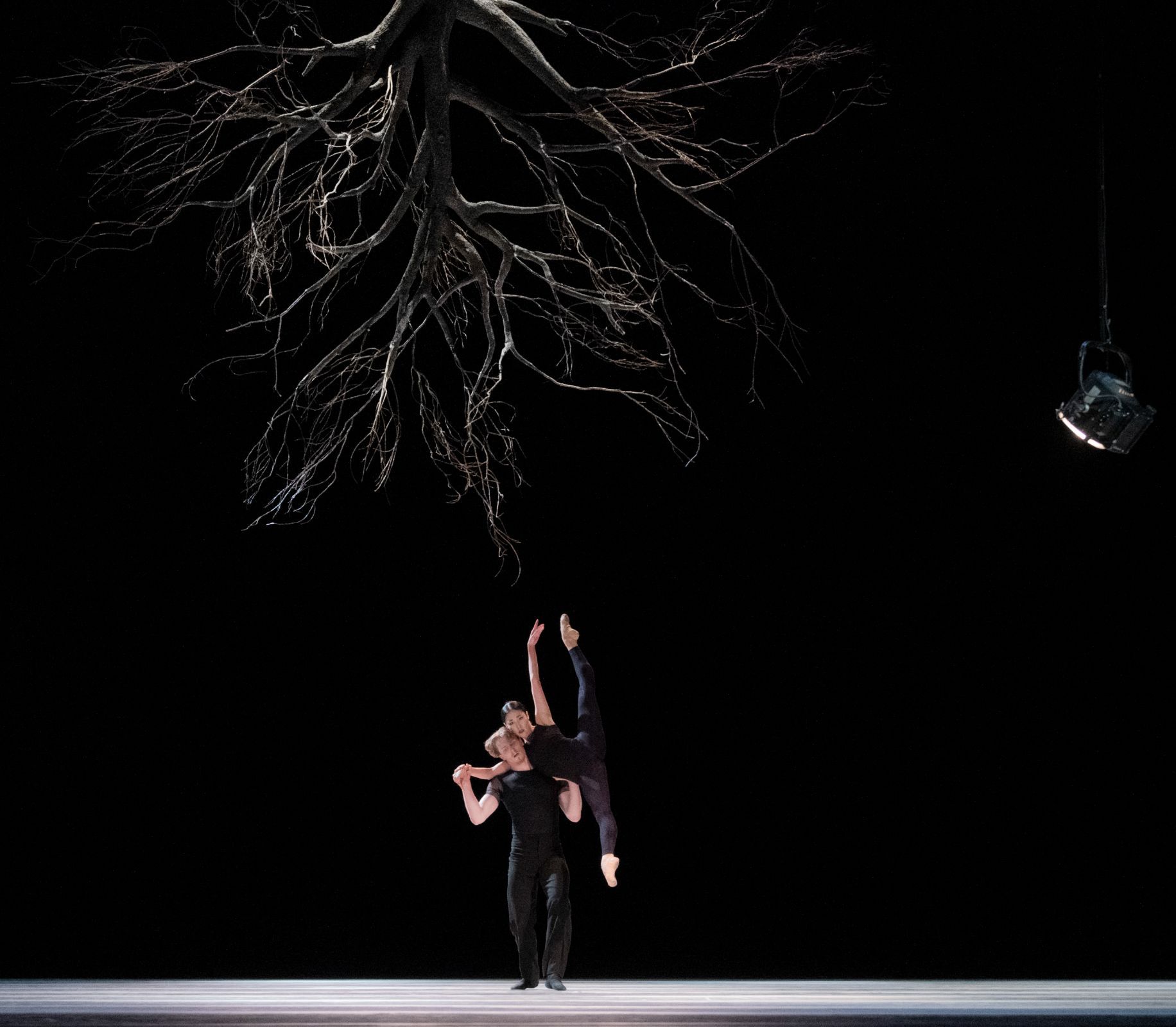 Norwegian National Ballet in Wings of Wax &copy; Erik Berg