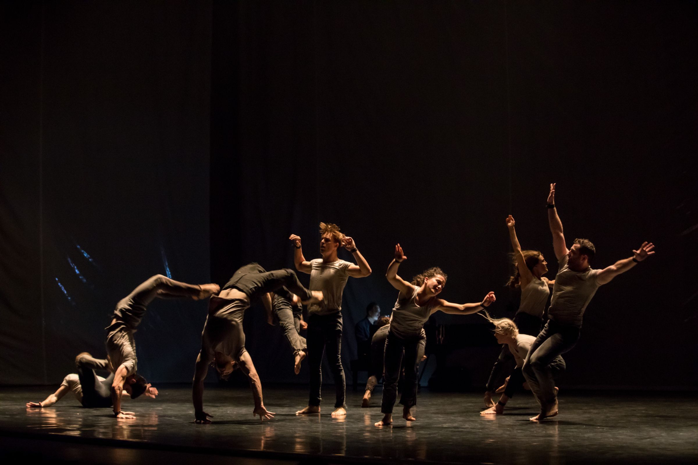 La compagnie Circa &copy; David Kelly