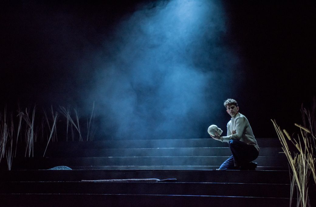 Gregory Feldmann (Hamlet) &copy; Genevieve Girling