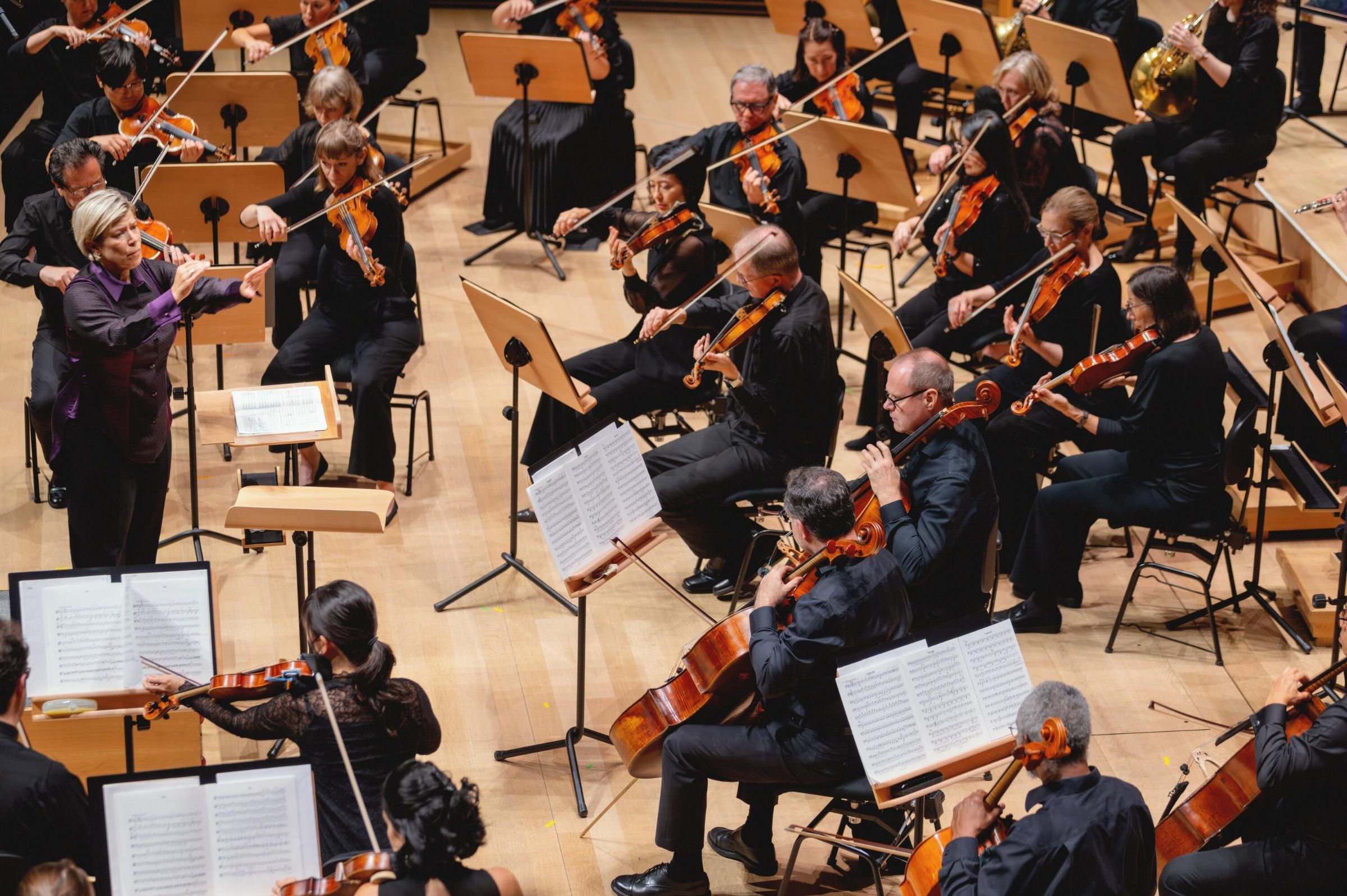 Karen Kamensek conducts the Summer for the City Festival Orchestra of Lincoln Center &copy; Lawrence Sumulong