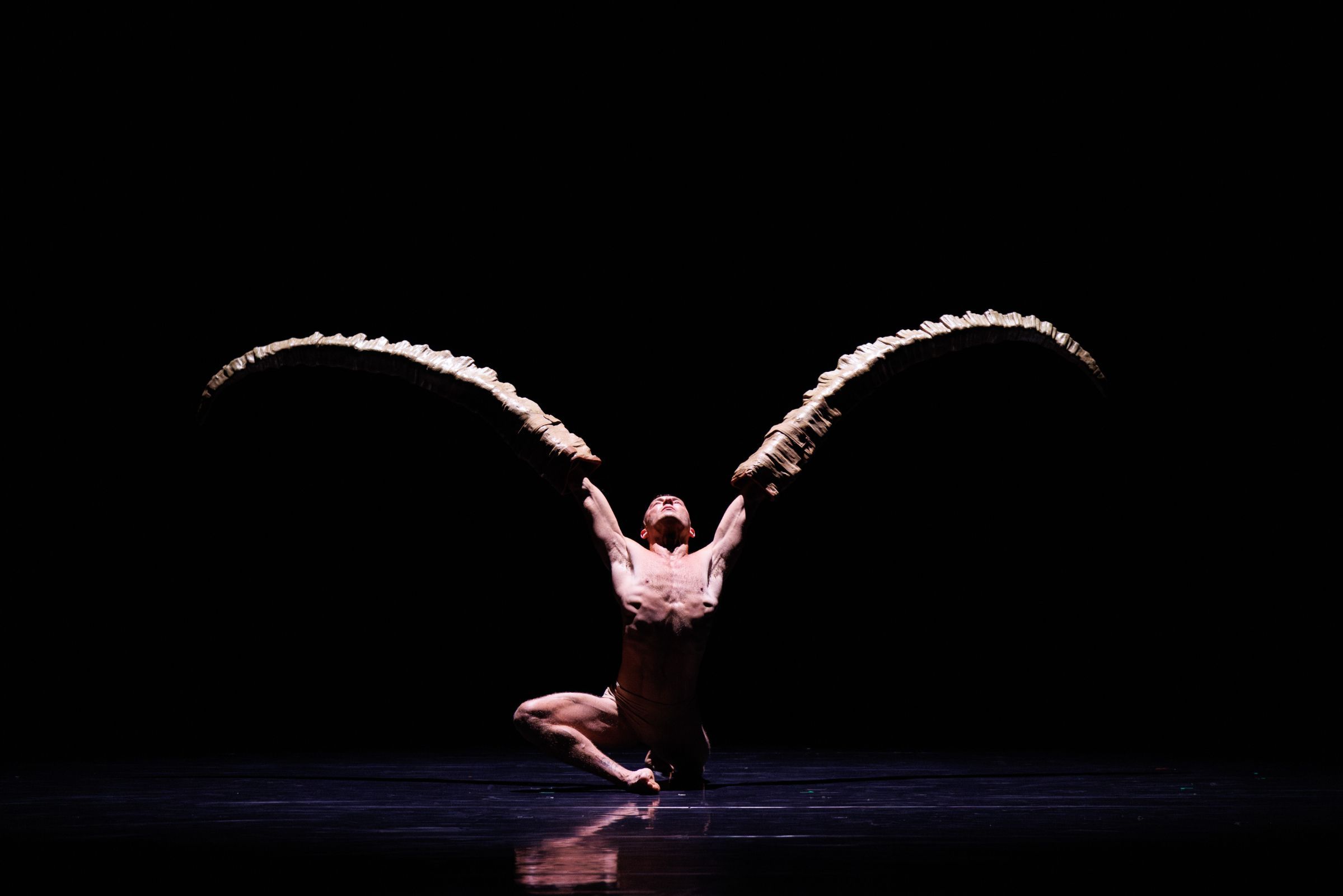 <i>Figures in Extinction</i> by Crystal Pite and Simon McBurney with Nederlands Dans Theater 1 &copy; Andrew Perry